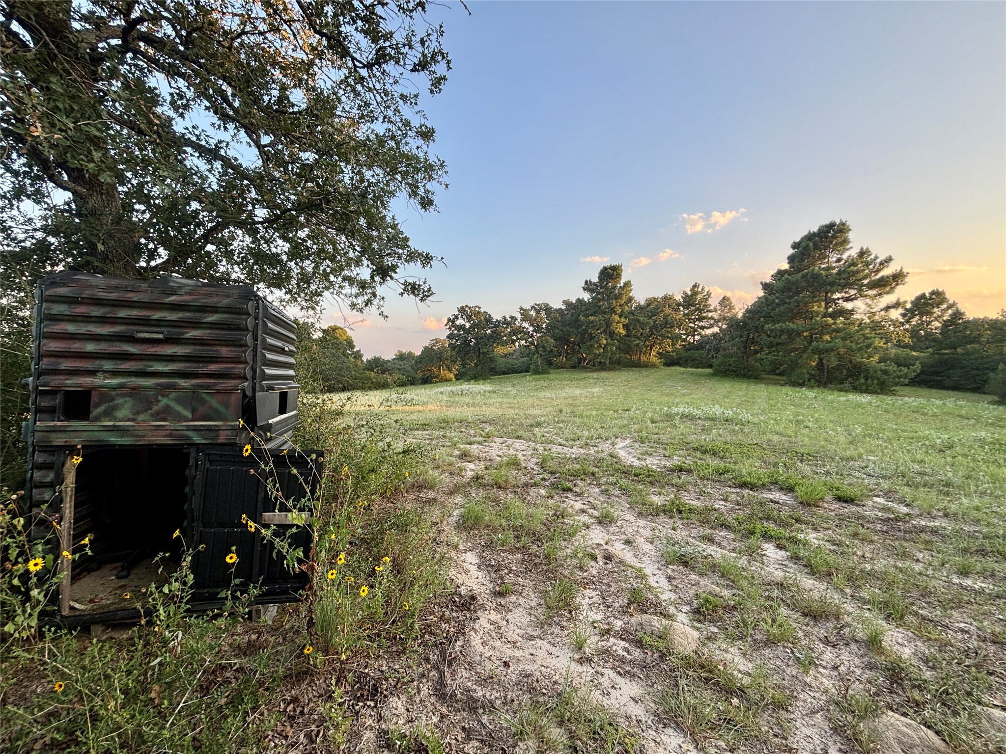 3458 Private Road 1425 Property Photo 31