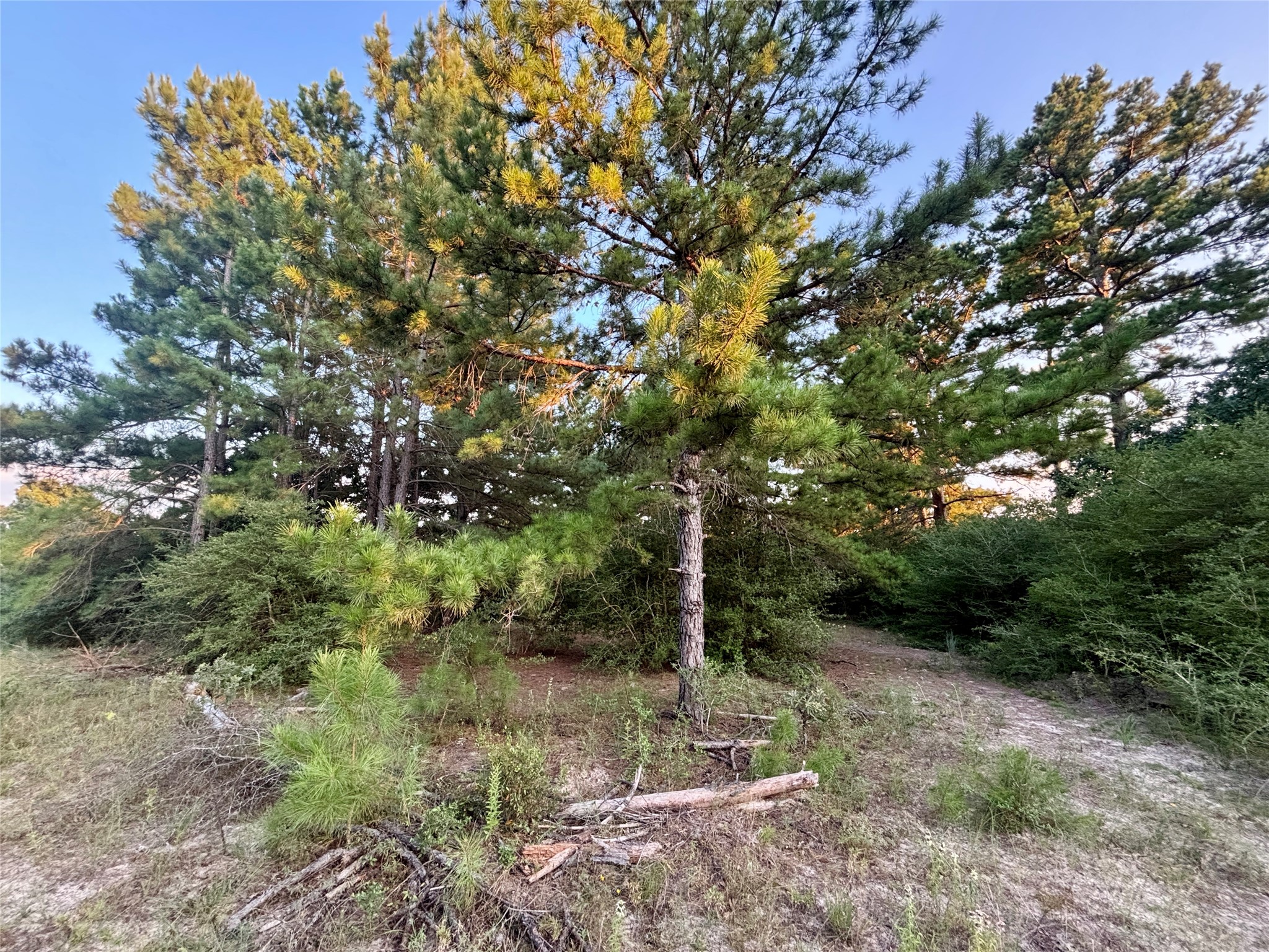 3458 Private Road 1425 Property Photo 32