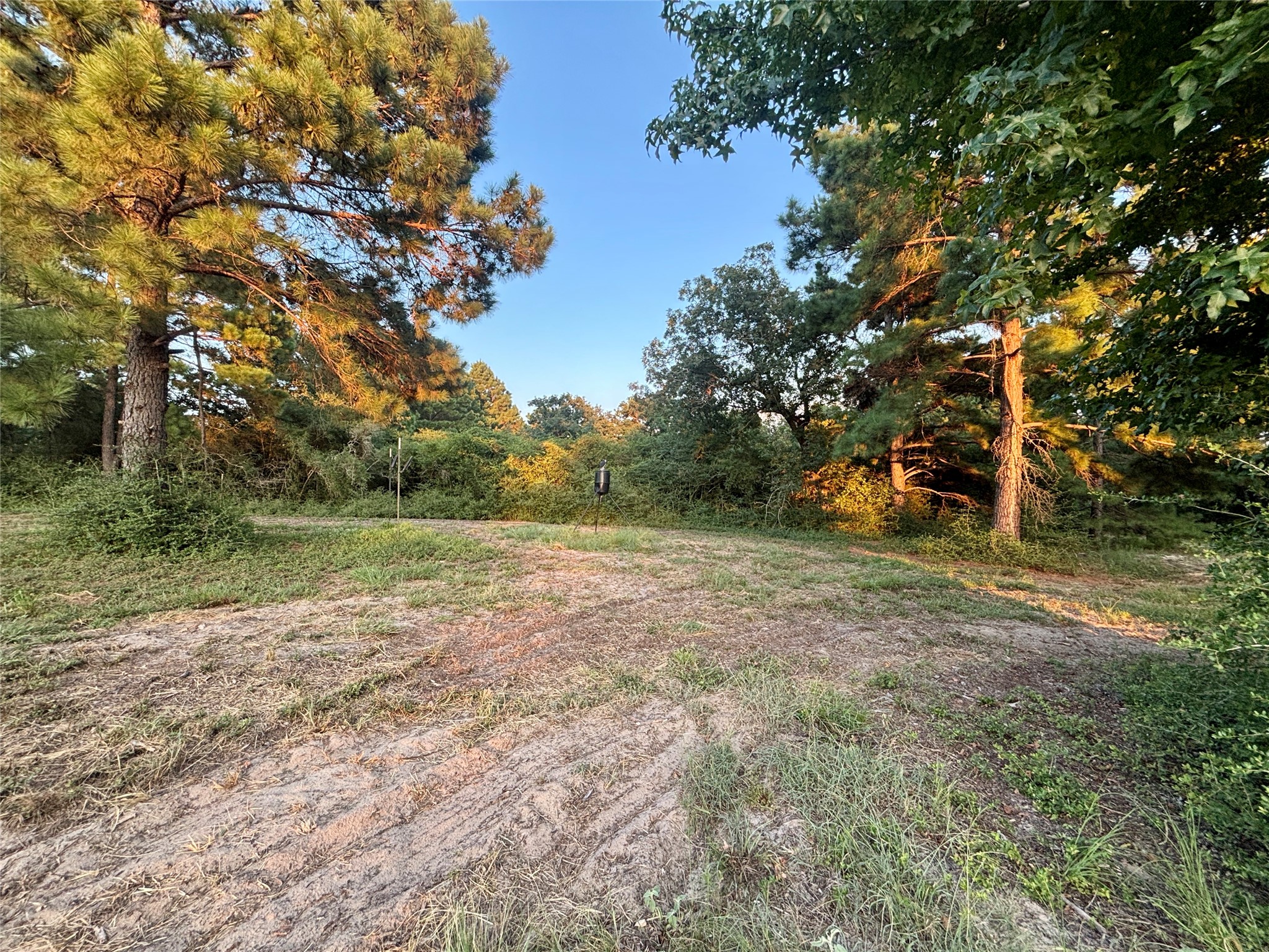3458 Private Road 1425 Property Photo 34
