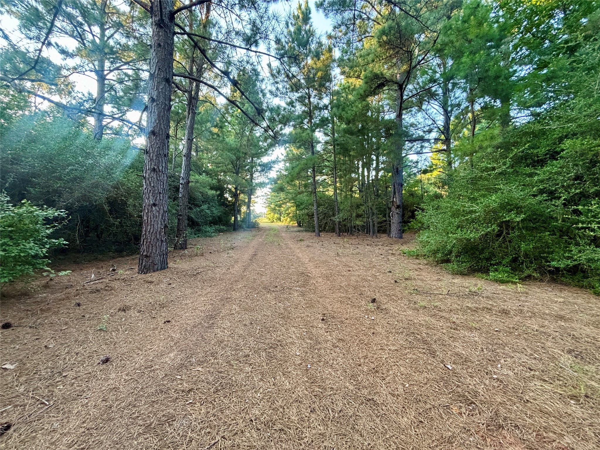 3458 Private Road 1425 Property Photo 35