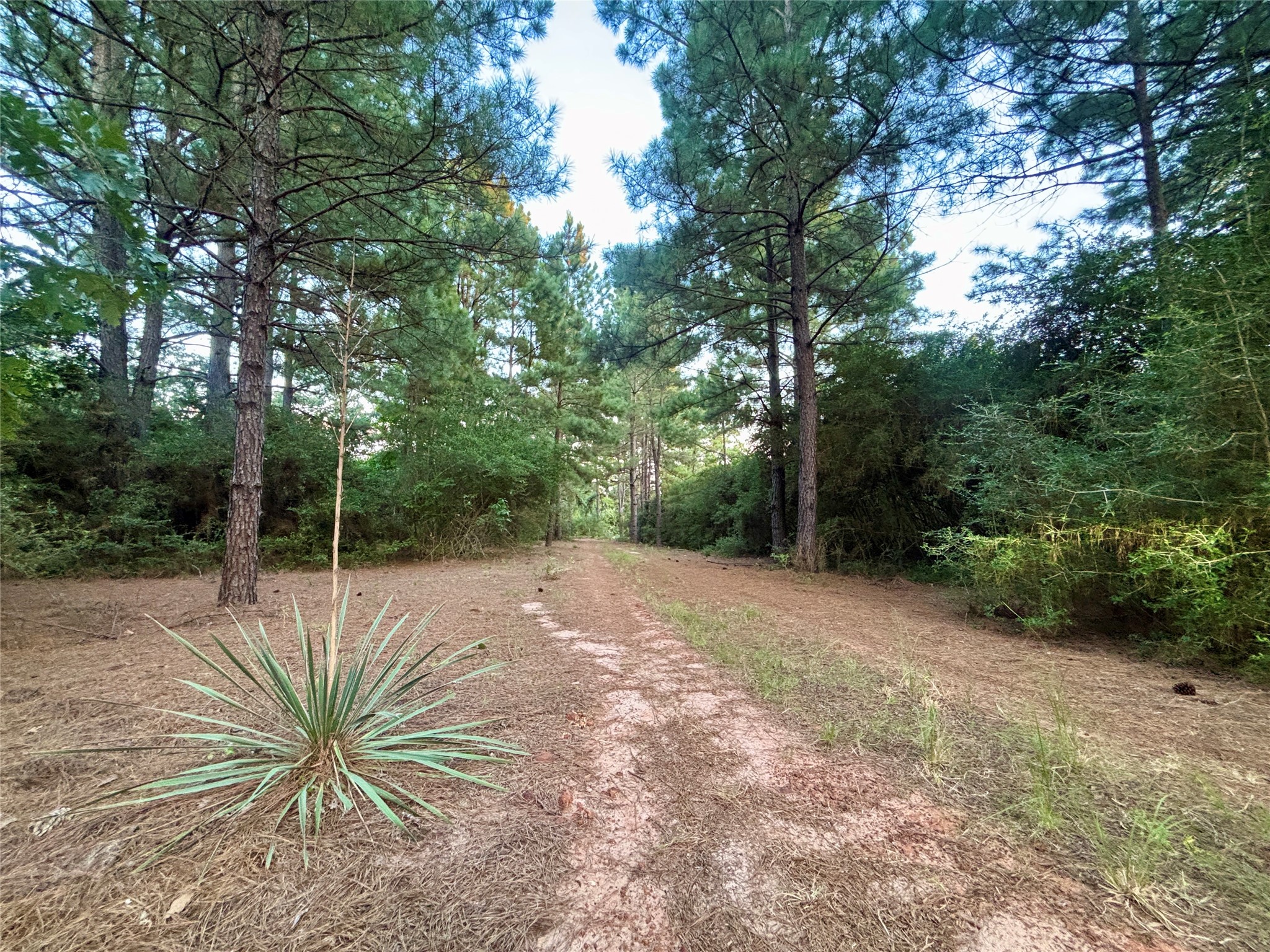 3458 Private Road 1425 Property Photo 36