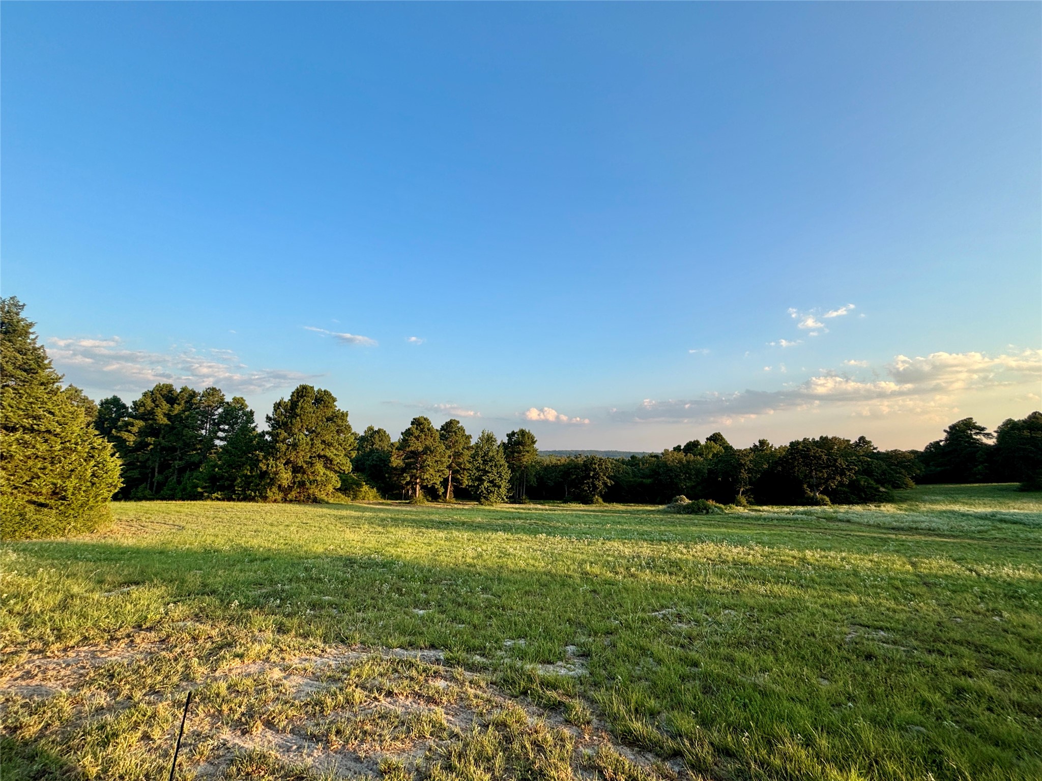 3458 Private Road 1425 Property Photo 38