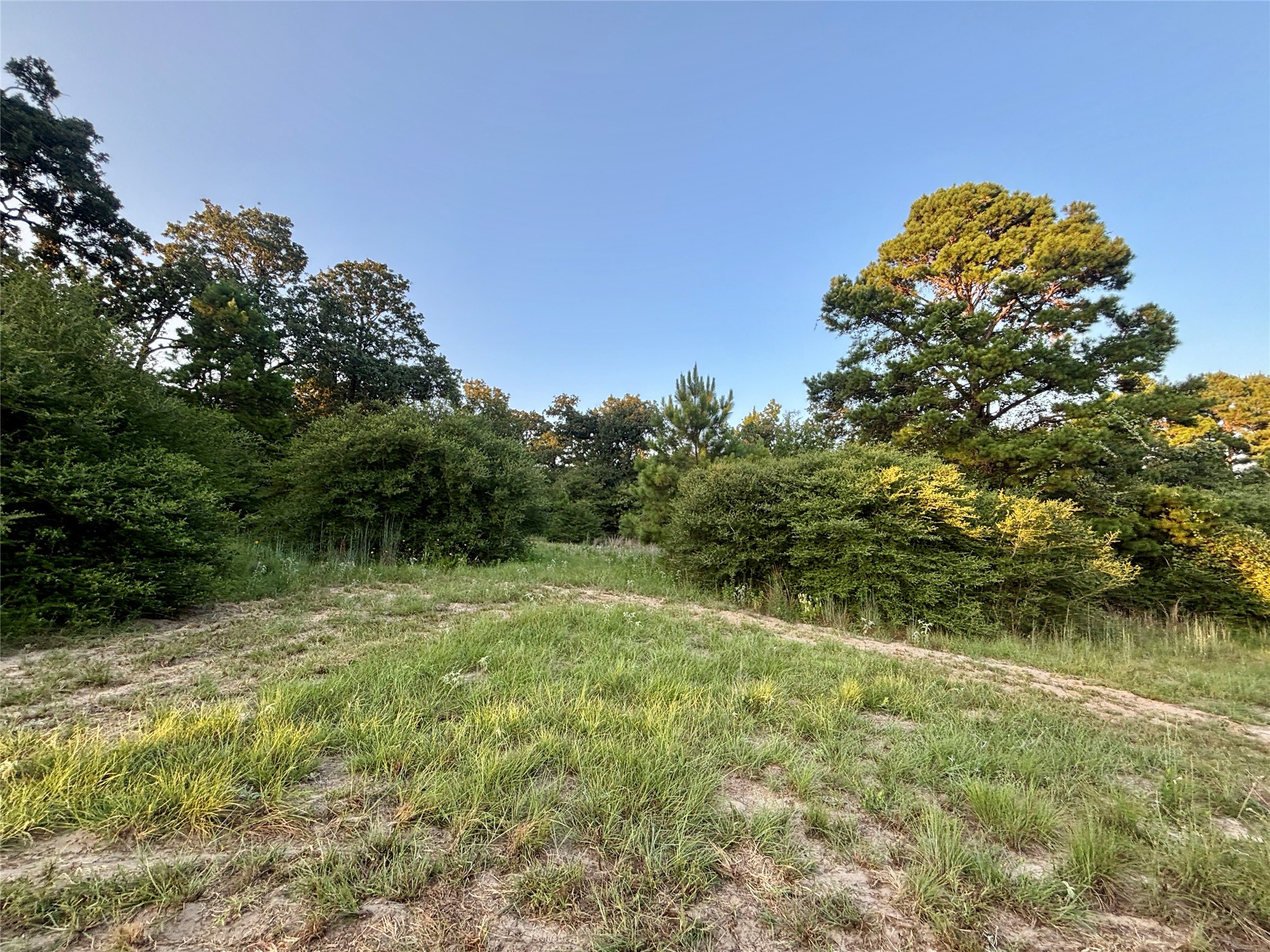 3458 Private Road 1425 Property Photo 39
