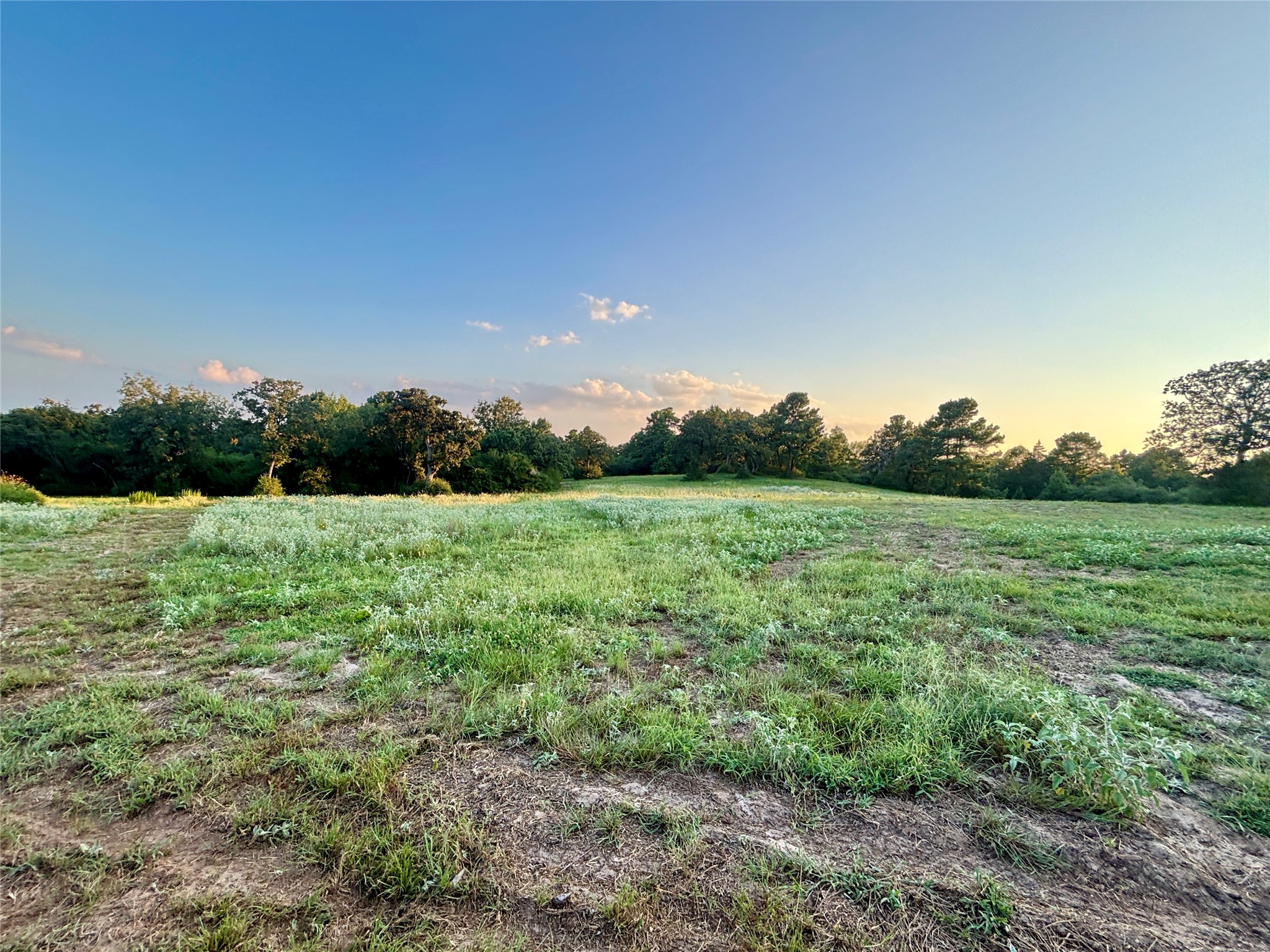 3458 Private Road 1425 Property Photo 40