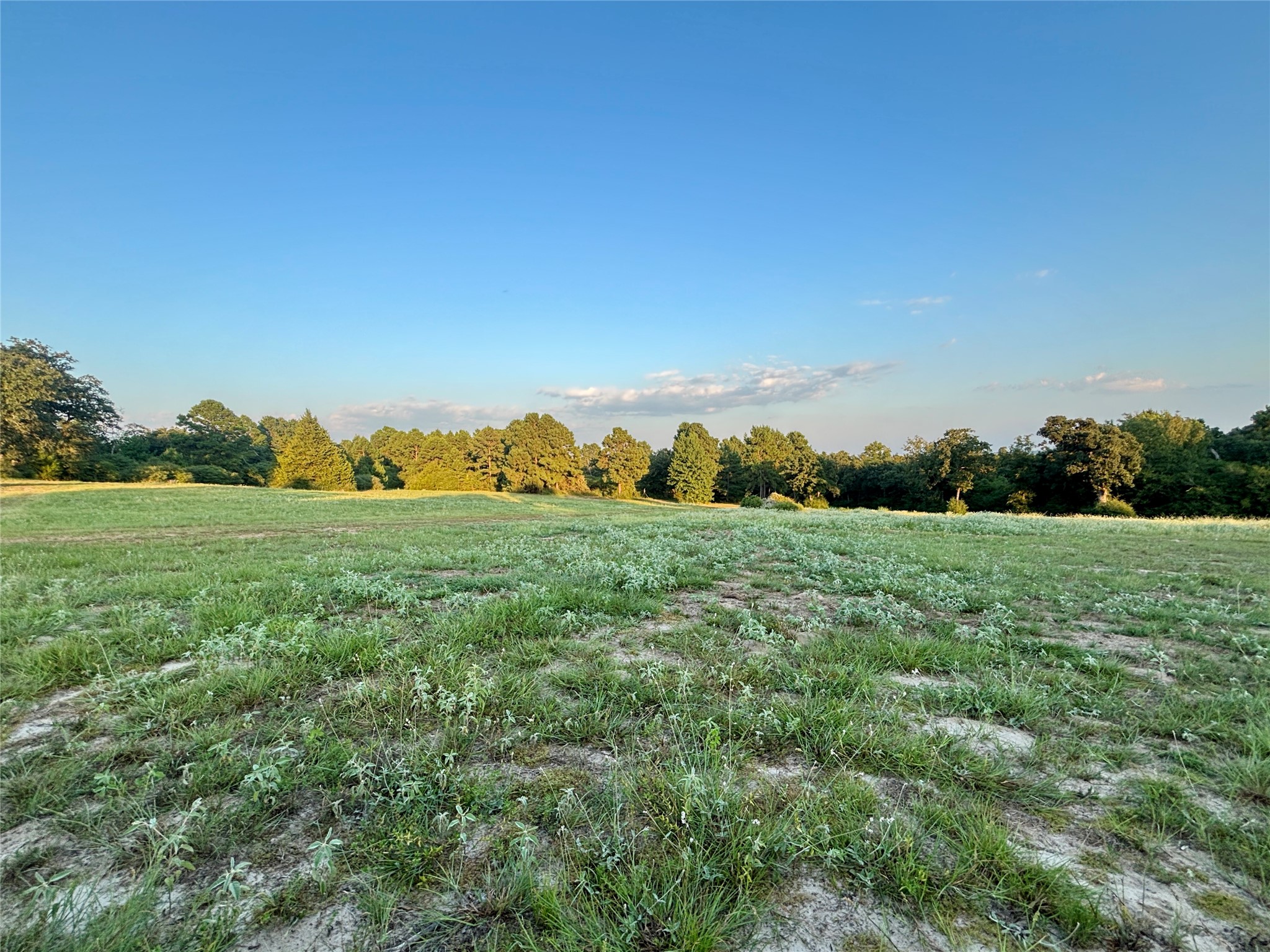 3458 Private Road 1425 Property Photo 41