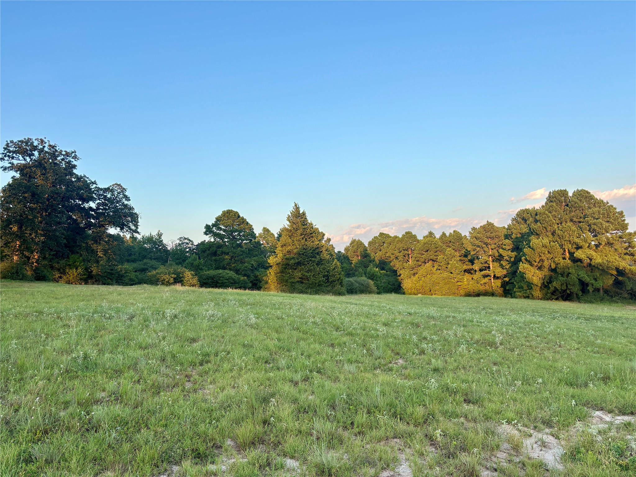 3458 Private Road 1425 Property Photo 44