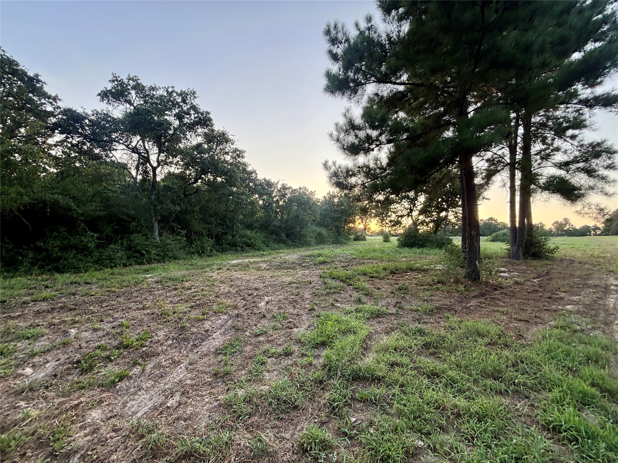 3458 Private Road 1425 Property Photo 48