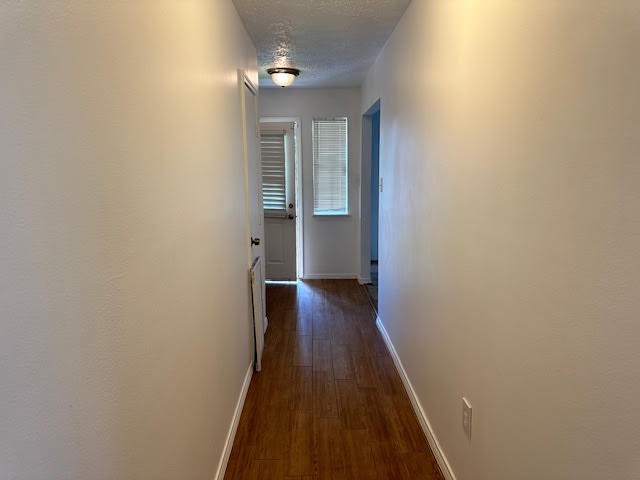 3315 Honey Creek Drive Property Photo 7