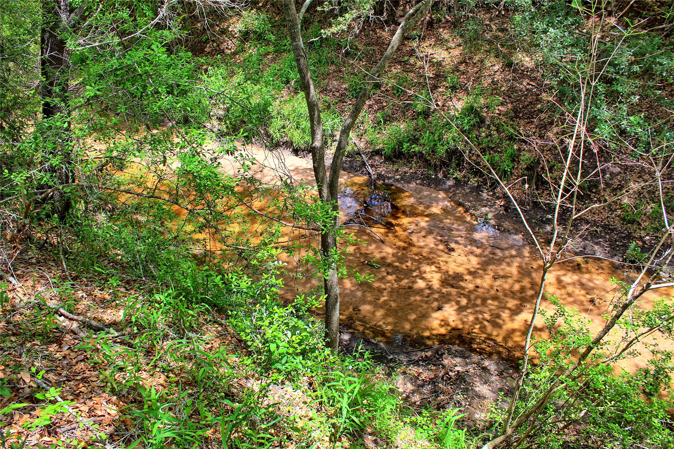 Tbd Harmony Rd Property Photo 11