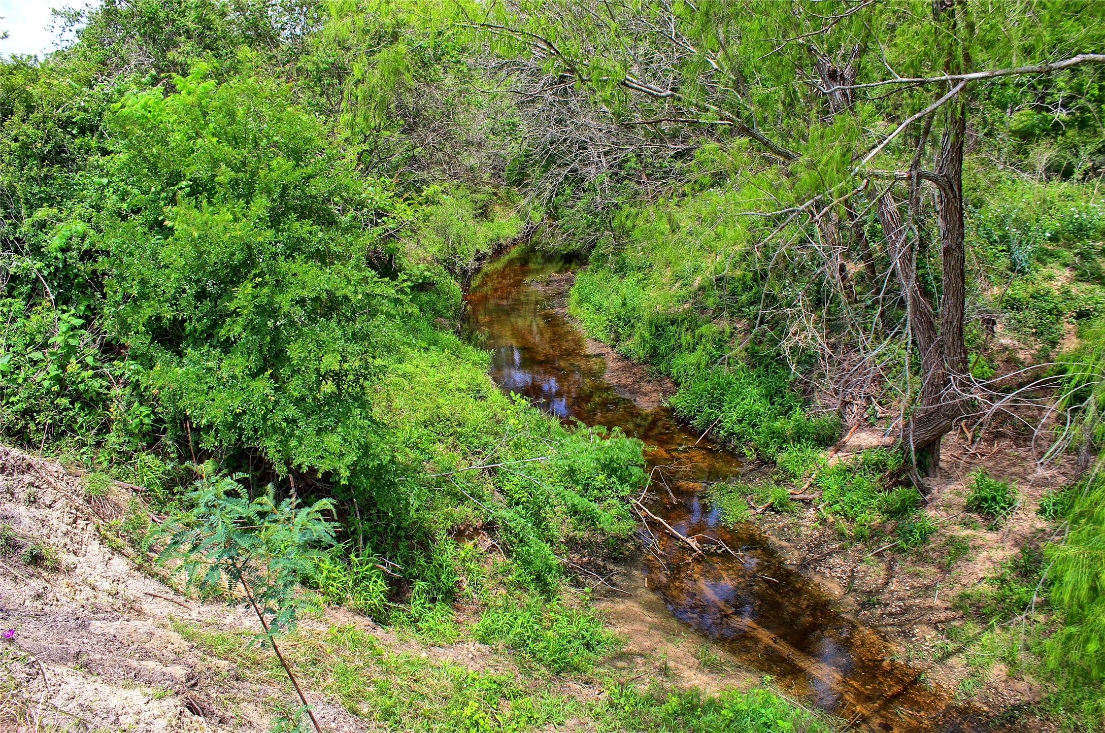 Tbd Harmony Rd Property Photo 16