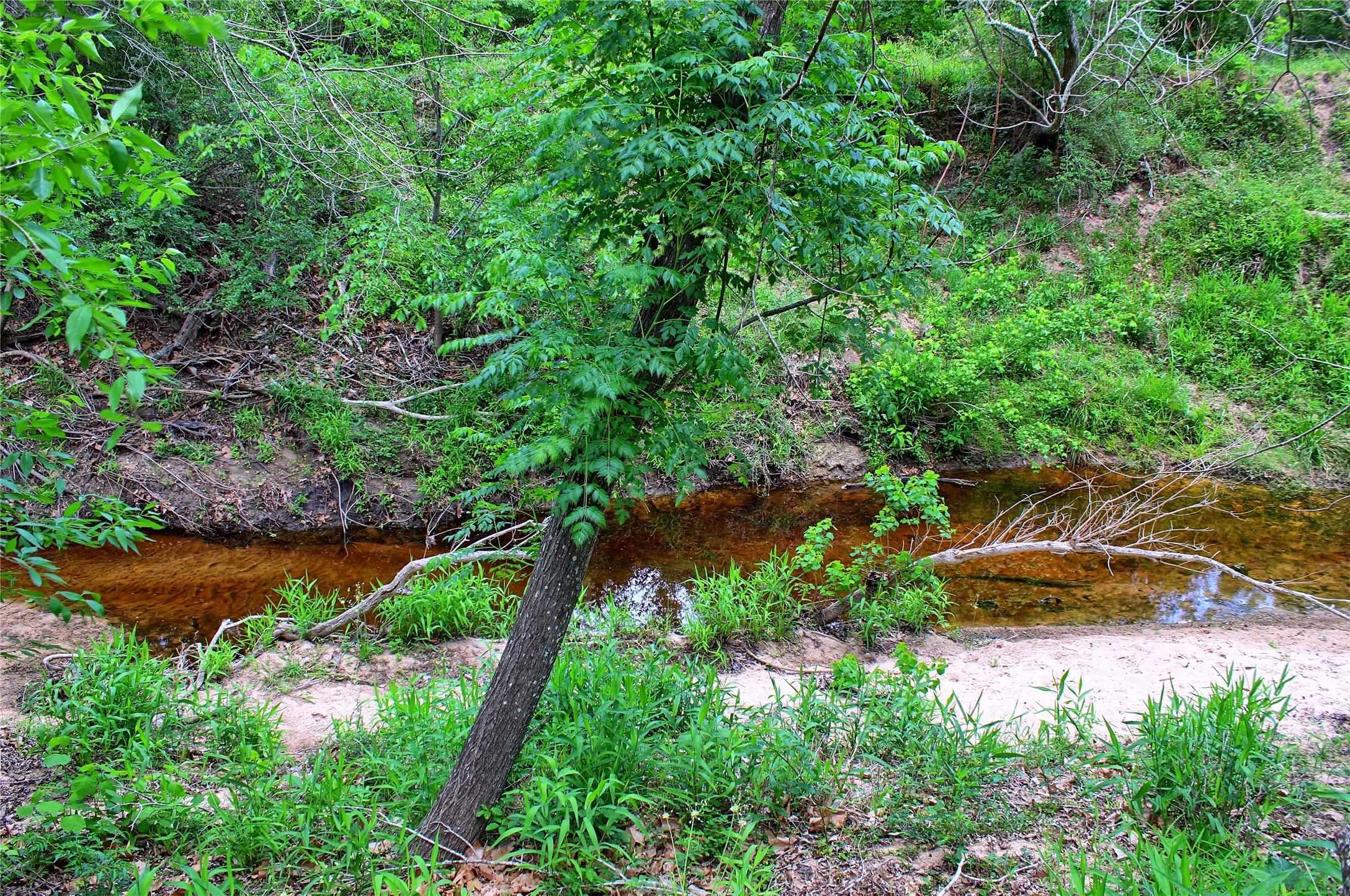 Tbd Harmony Rd Property Photo 18