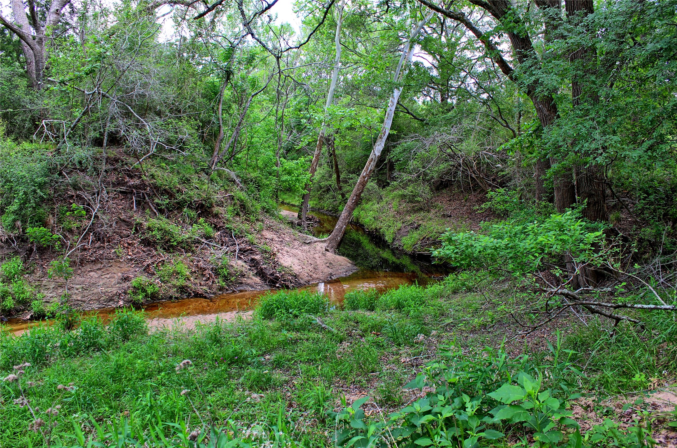 Tbd Harmony Rd Property Photo 20