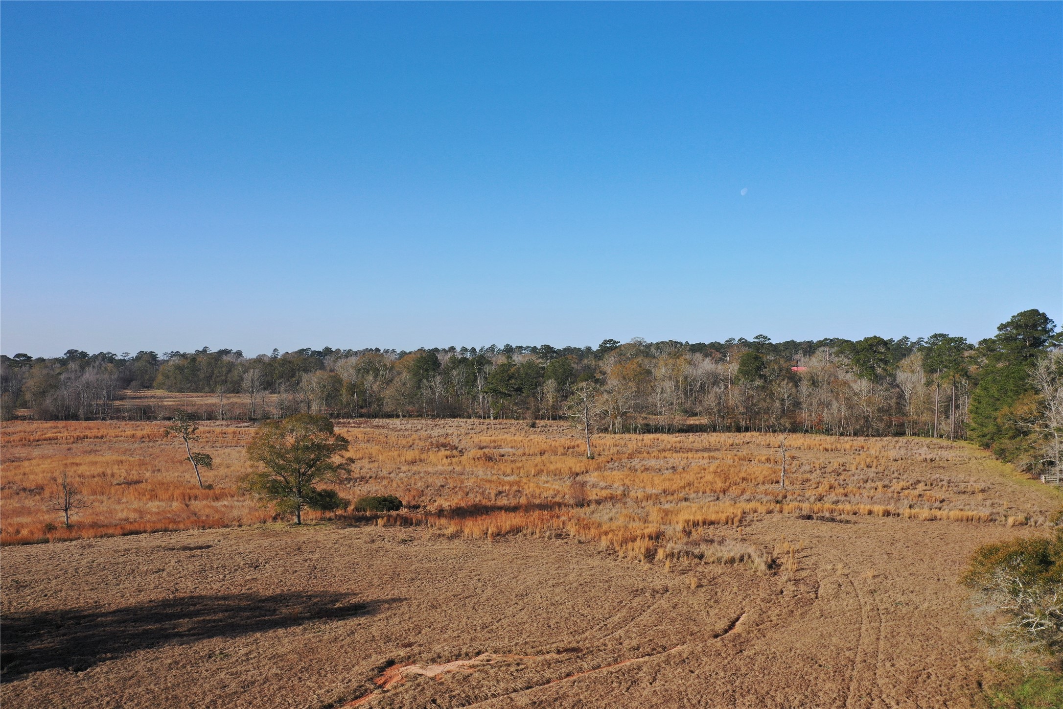 Tbd Lakeland Property Photo 3