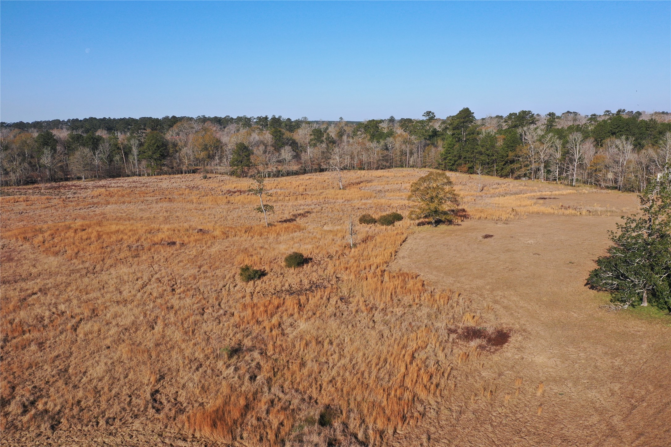 Tbd Lakeland Property Photo 4