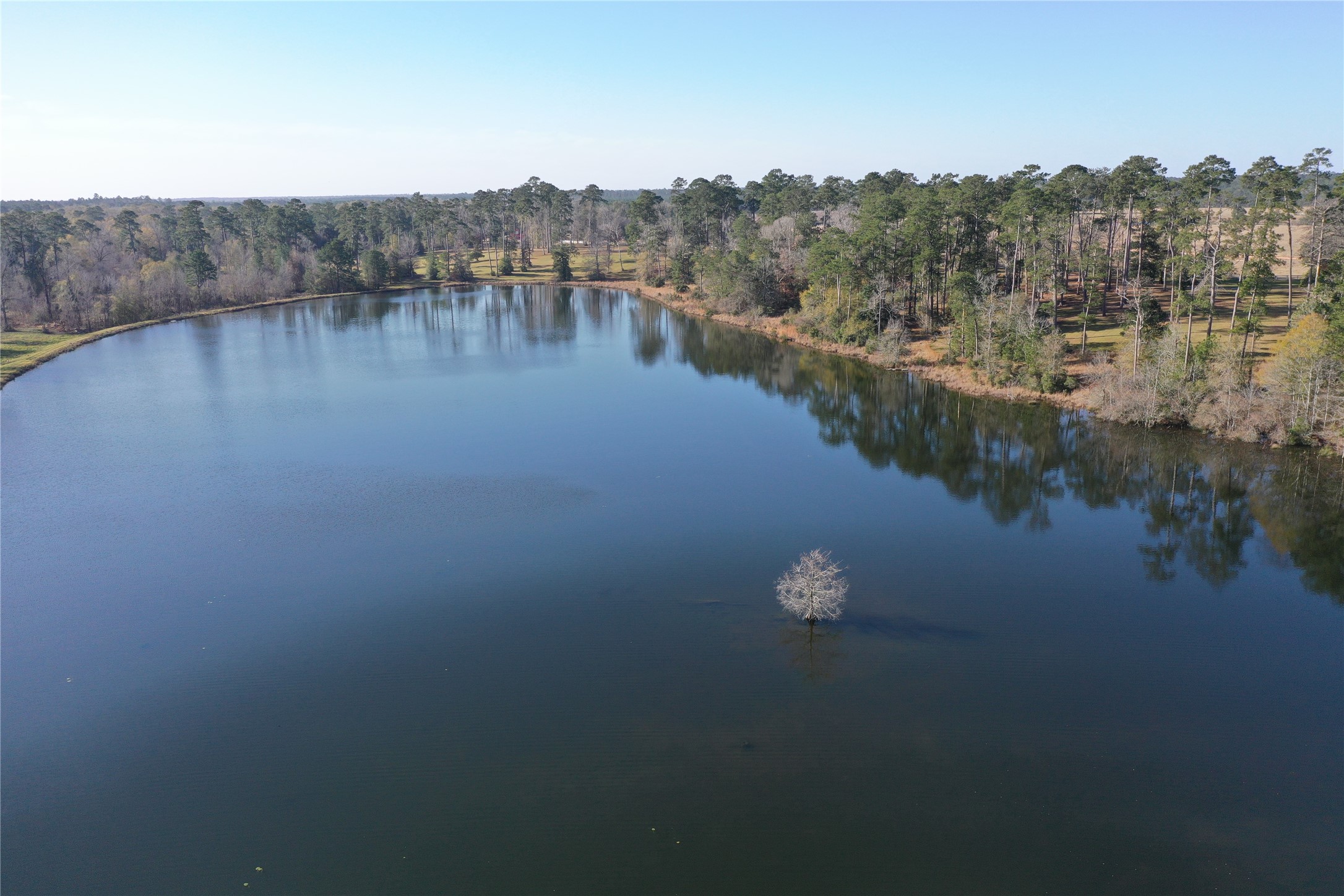 Tbd Lakeland Property Photo 6