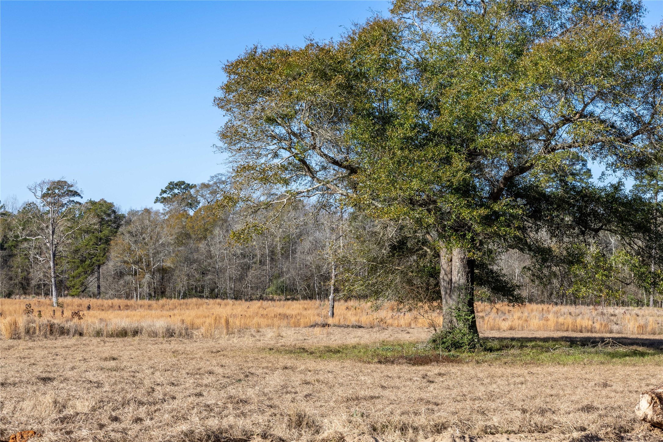 Tbd Lakeland Property Photo 9