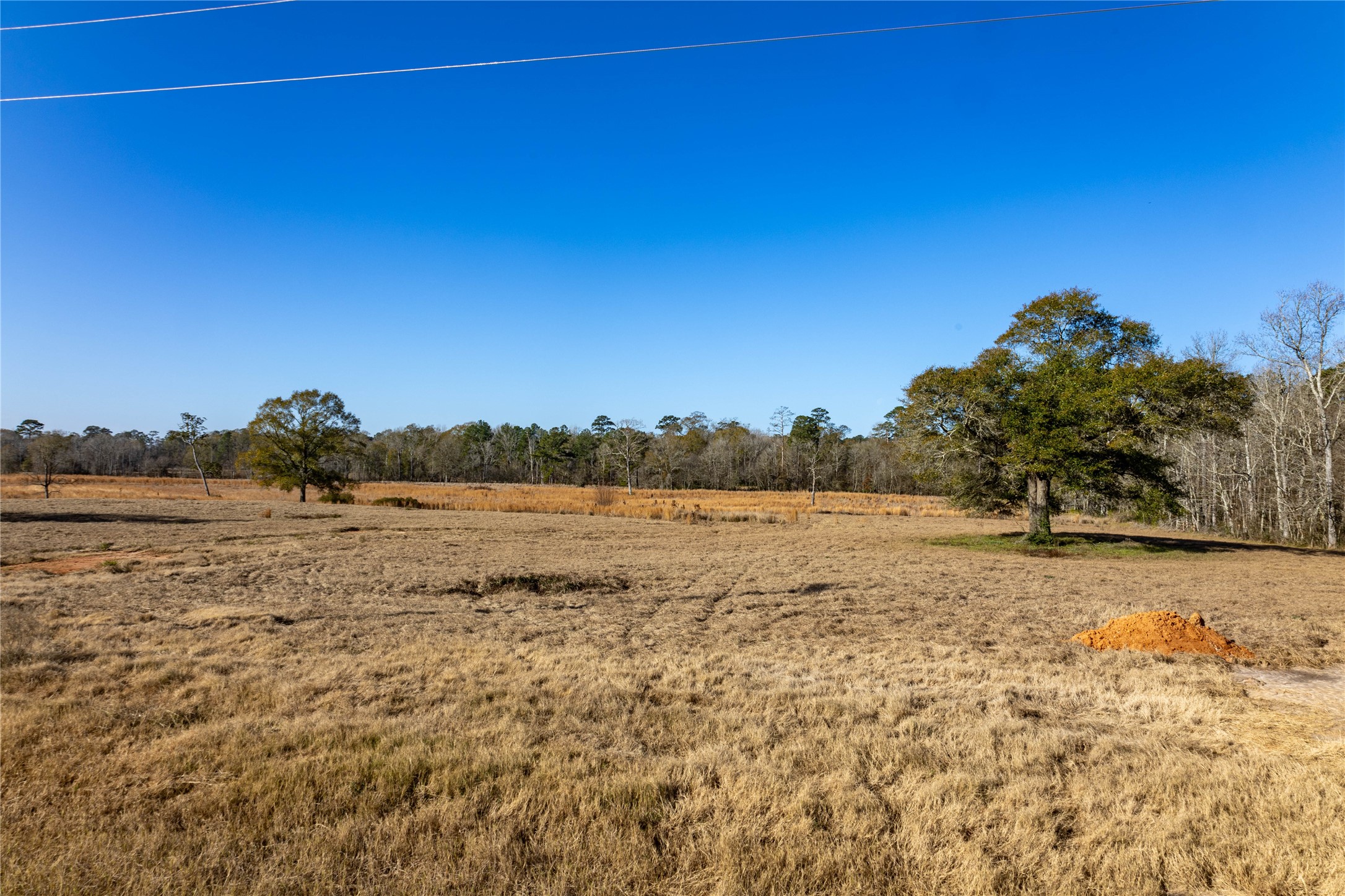 Tbd Lakeland Property Photo 10