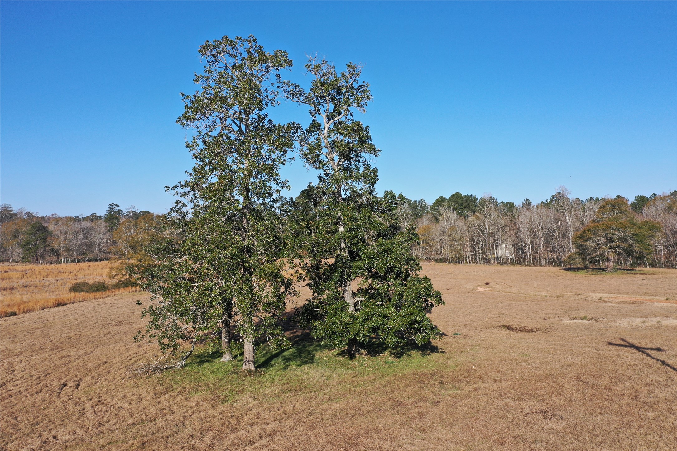 Tbd Lakeland Property Photo 12