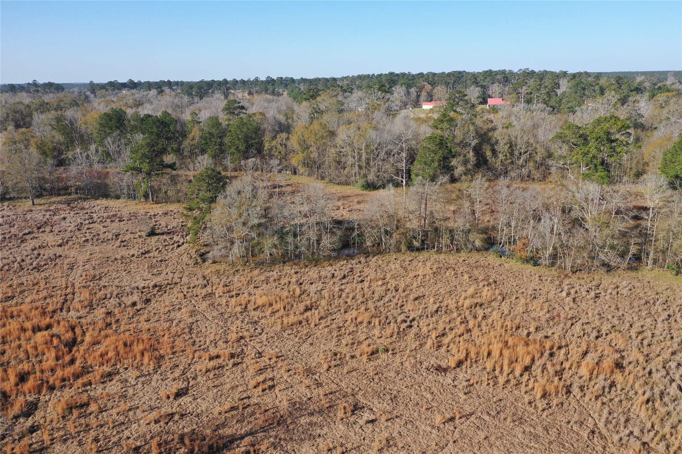 Tbd Lakeland Property Photo 13