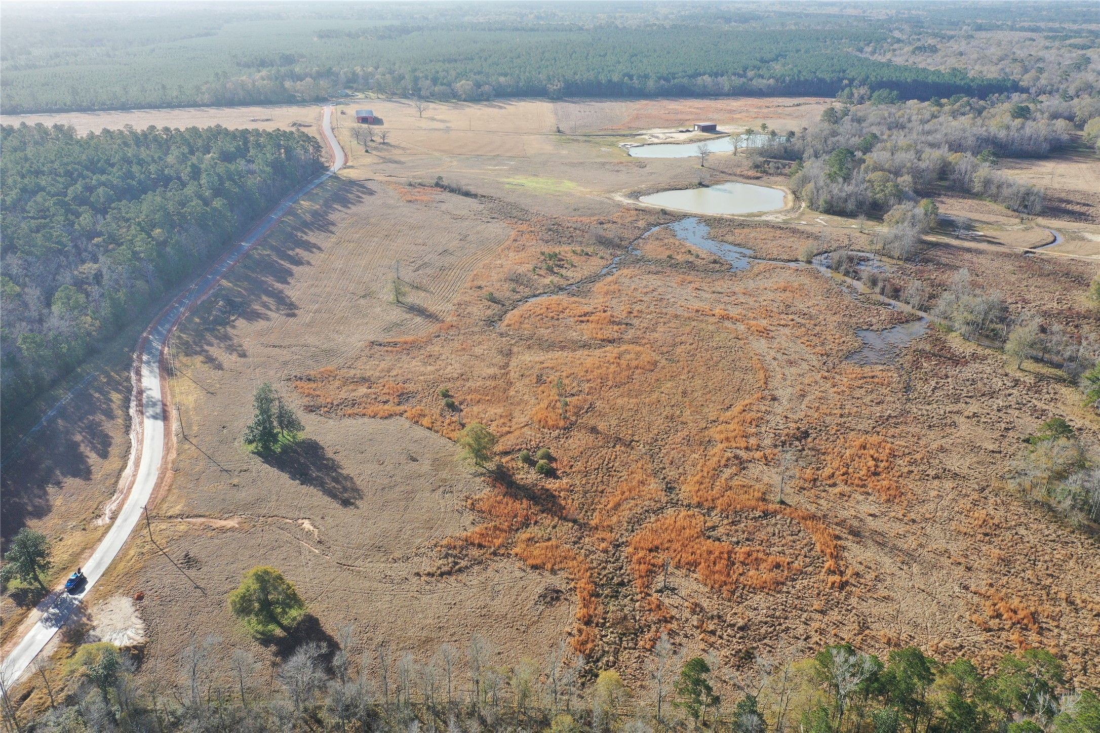 Tbd Lakeland Property Photo 15