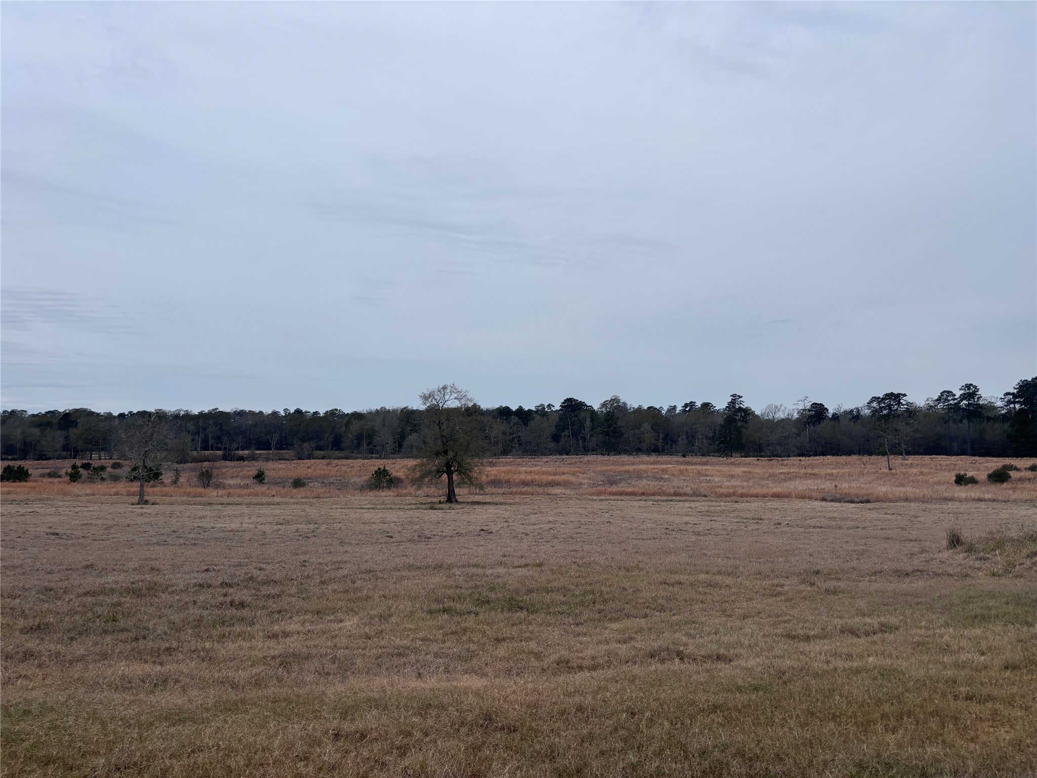 Tbd Lakeland Property Photo 20