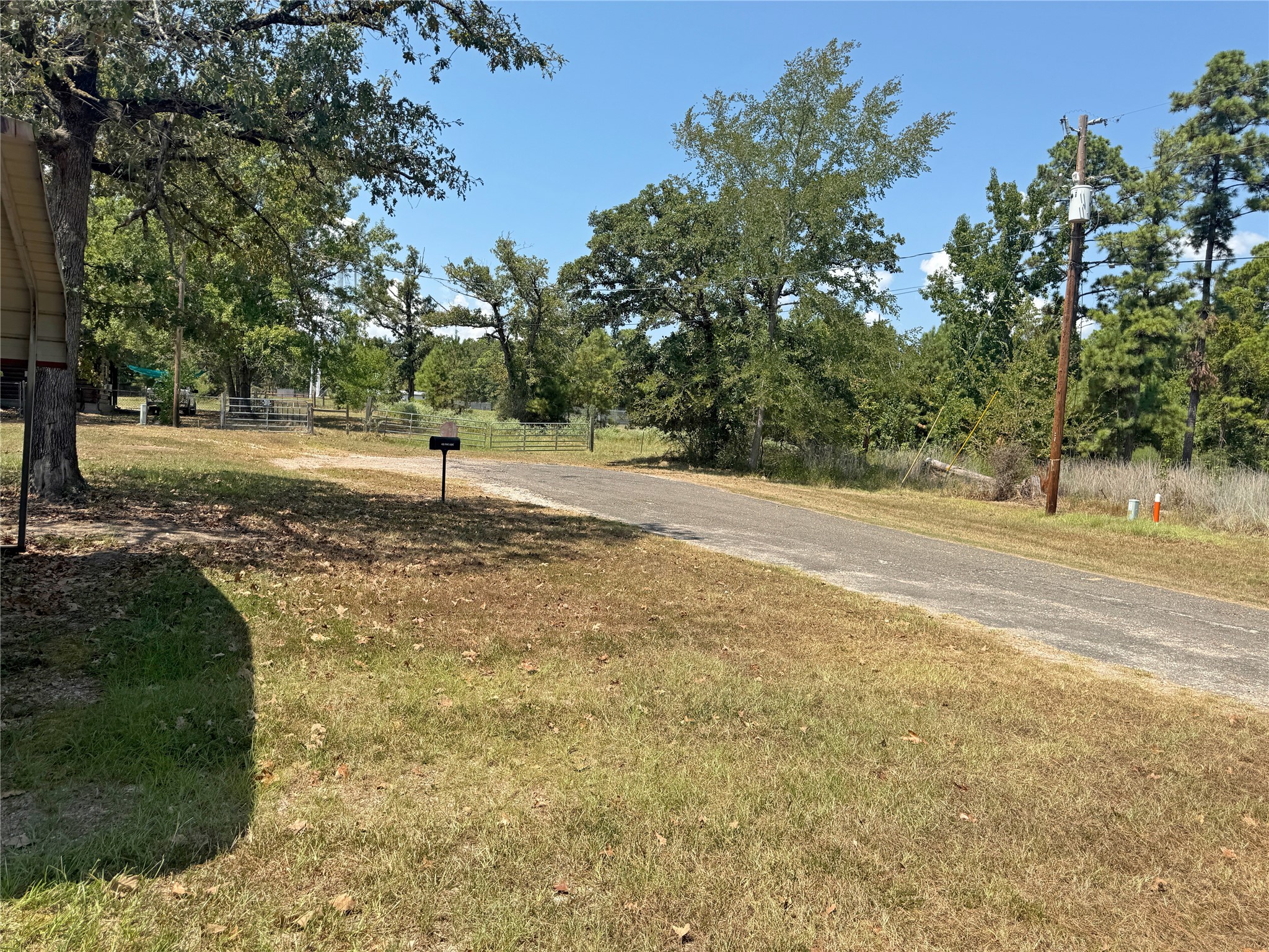 399 Pine Lane Property Photo 19