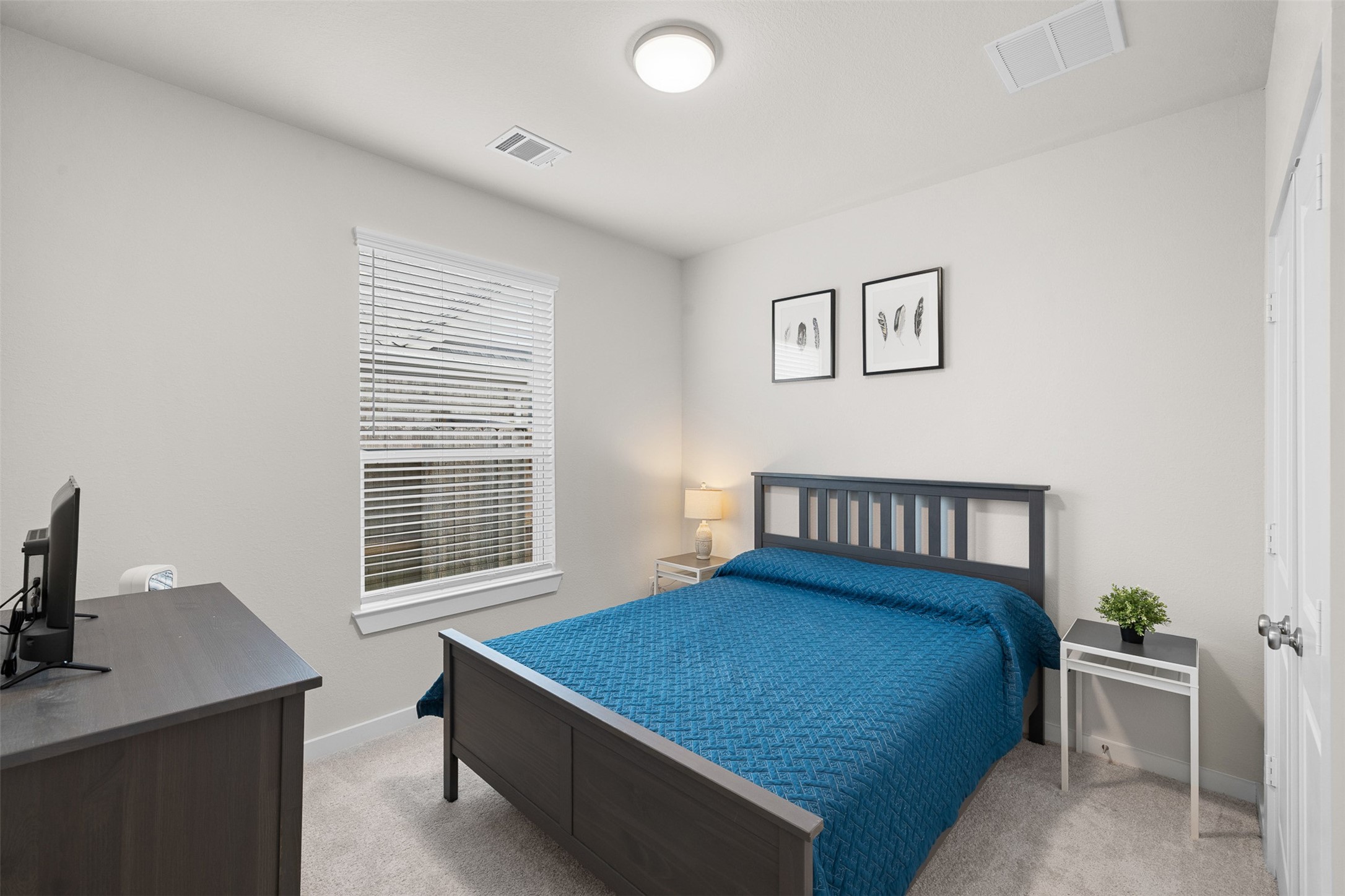 17030 Shimmer Ray Street Property Photo 16