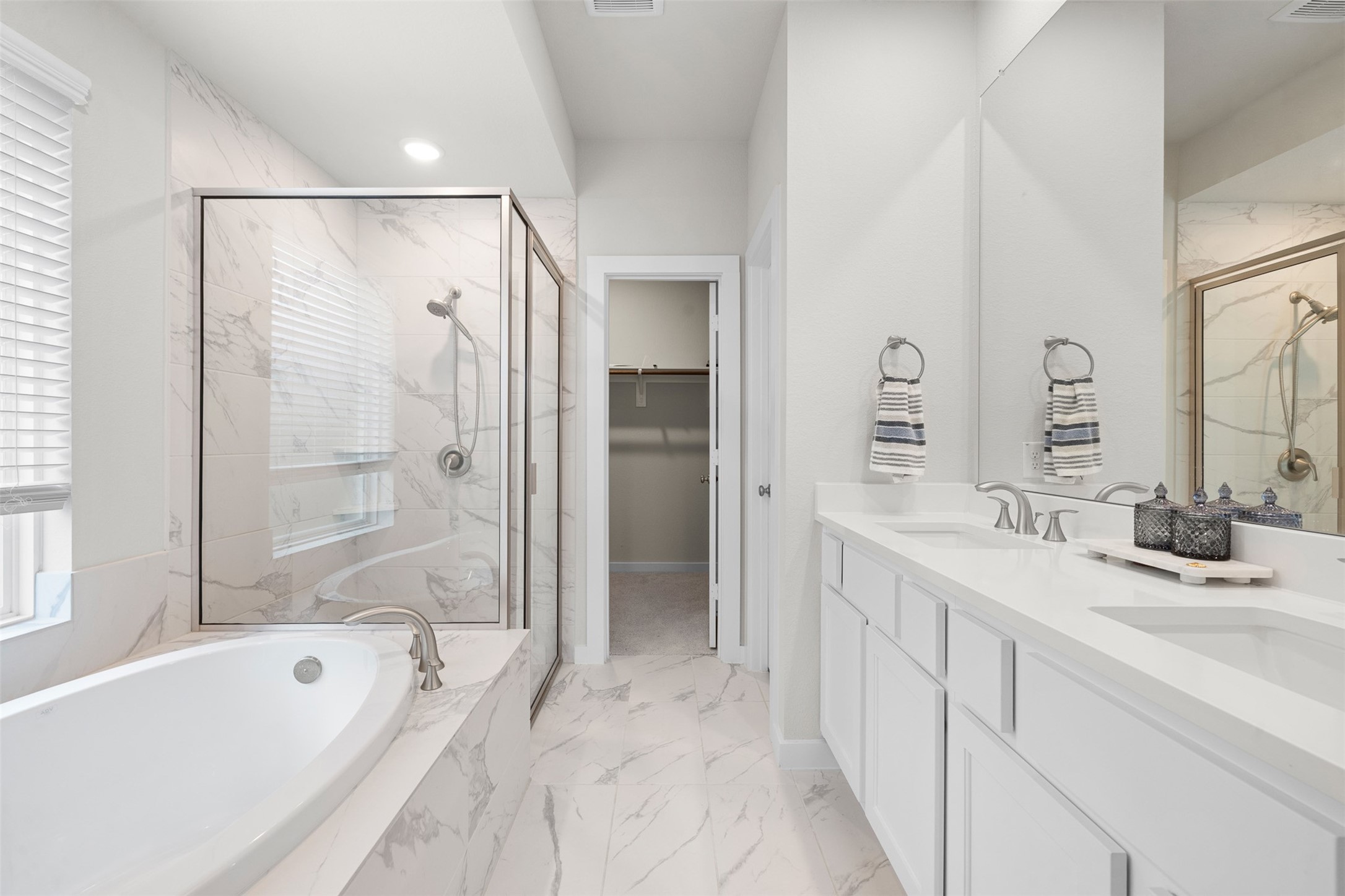 17030 Shimmer Ray Street Property Photo 20