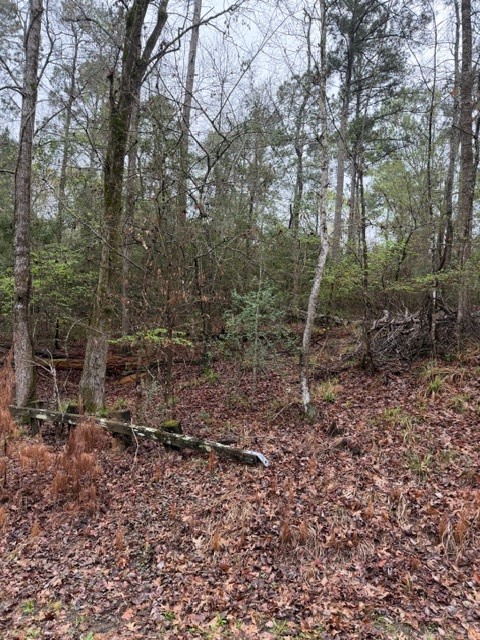 Lot 39, 40 & 41 S Lakeview Drive Property Photo 13