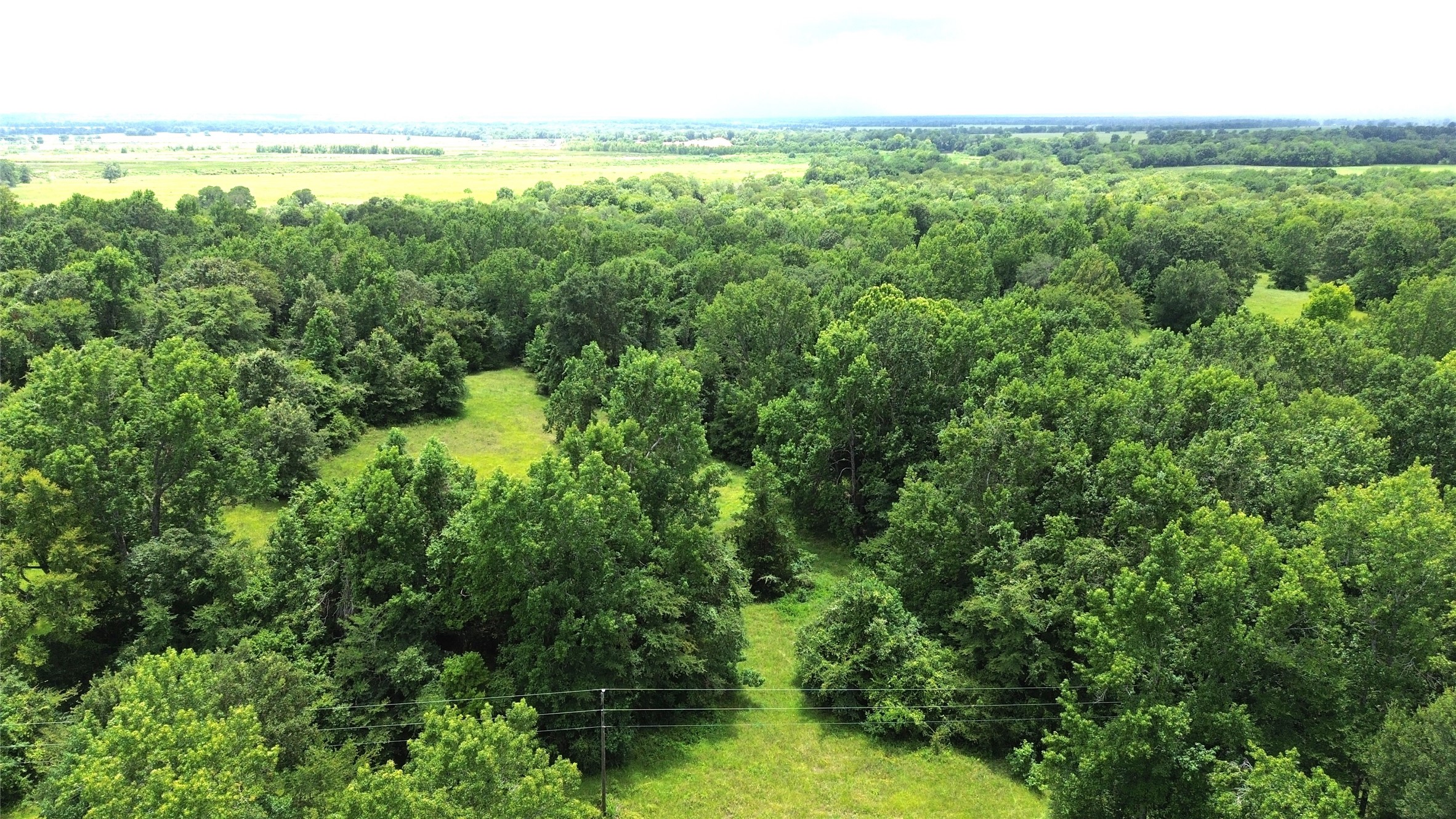 Tract 1 County Road 2065 Property Photo 2