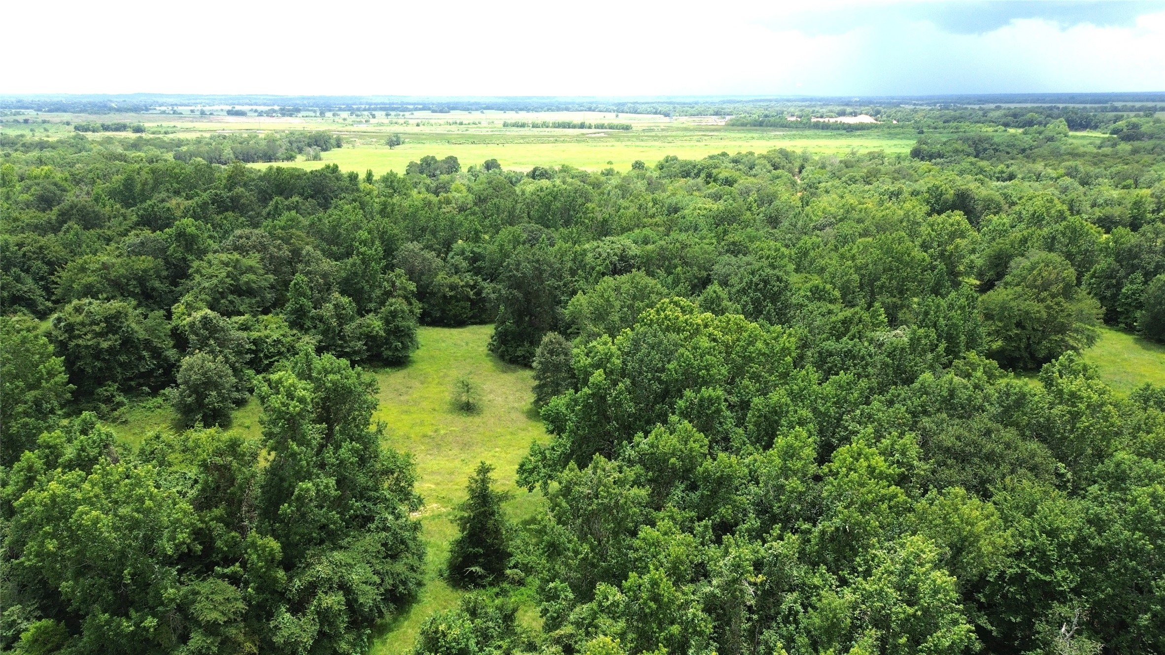 Tract 1 County Road 2065 Property Photo 4