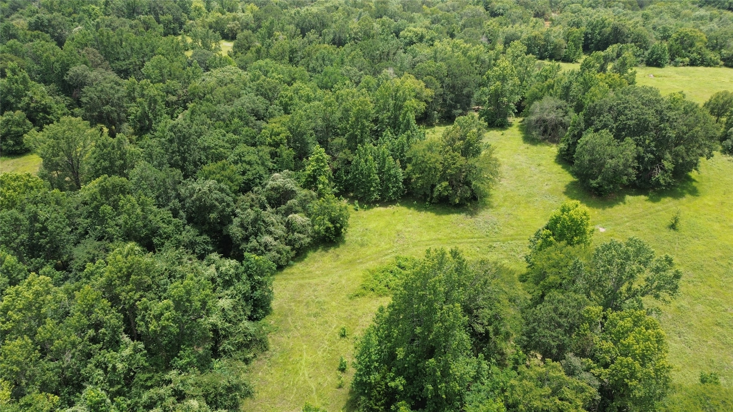 Tract 1 County Road 2065 Property Photo 8