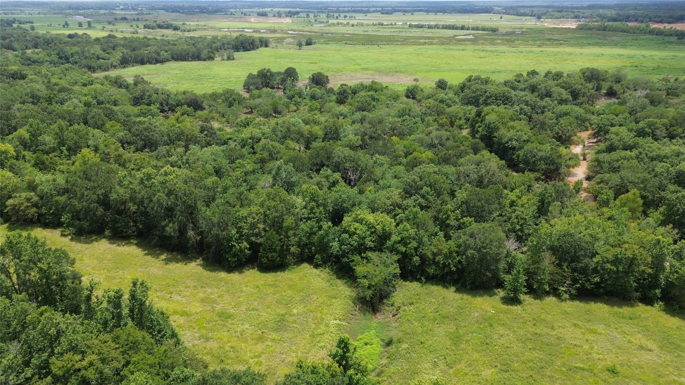 Tract 1 County Road 2065 Property Photo 9