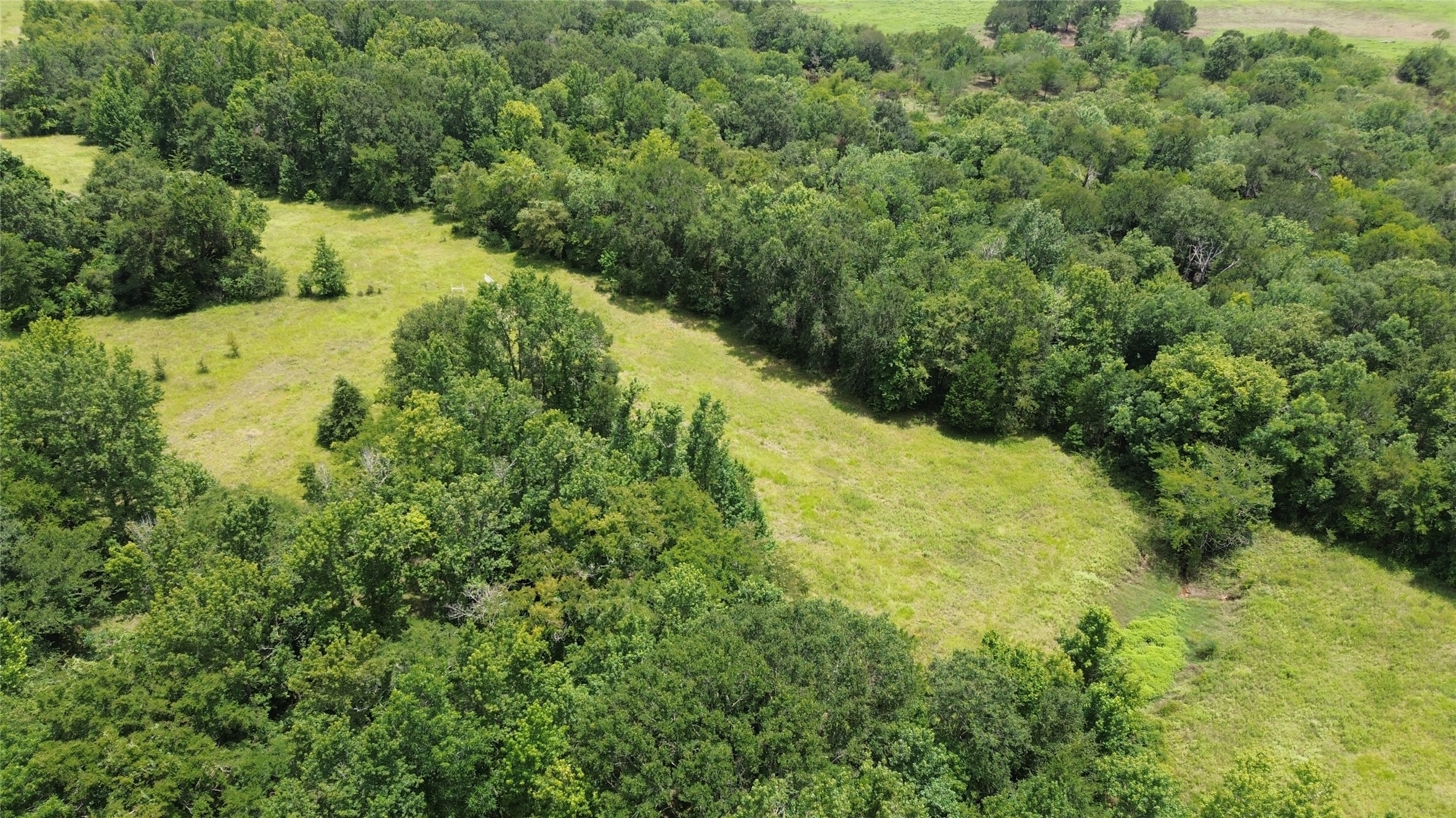 Tract 1 County Road 2065 Property Photo 10