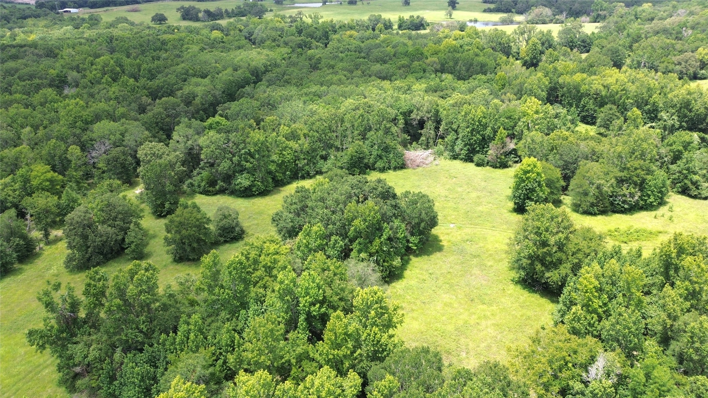 Tract 1 County Road 2065 Property Photo 11