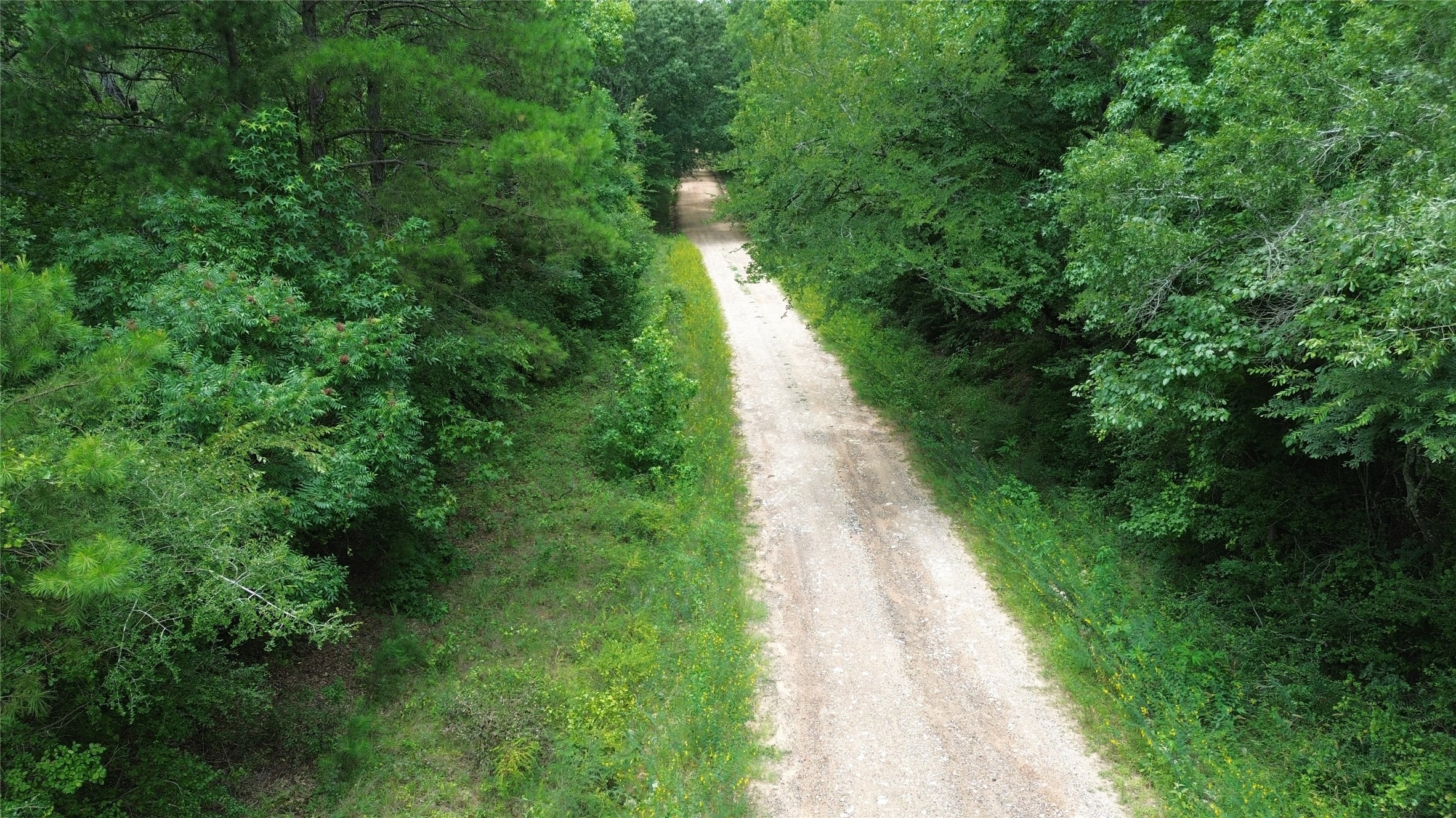 Tract 1 County Road 2065 Property Photo 15