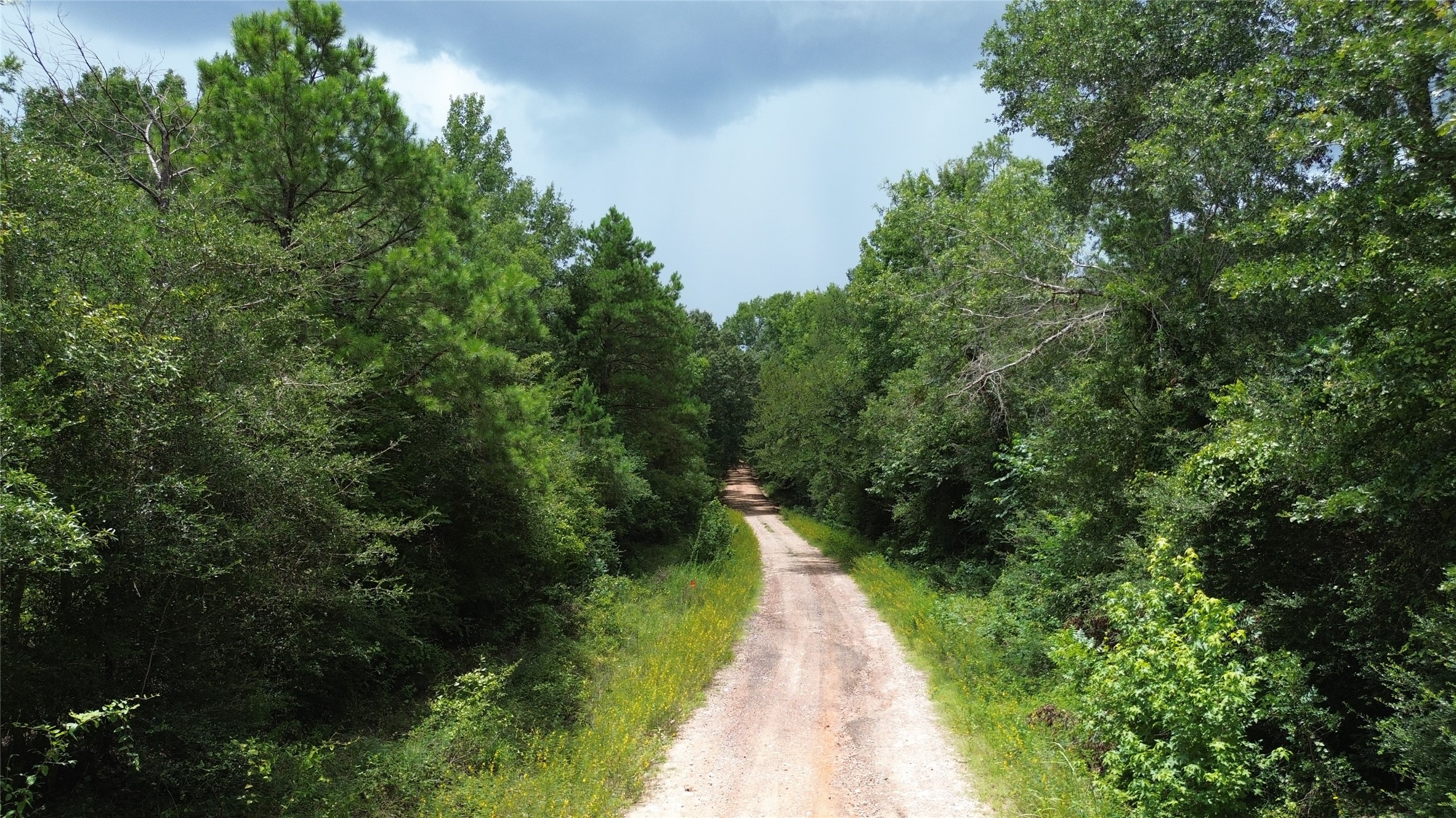Tract 1 County Road 2065 Property Photo 16