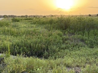 3043 Teal Lane Property Photo 6