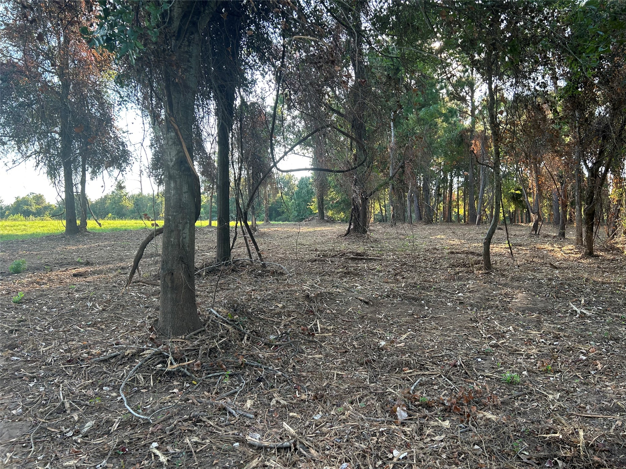 1 Highway 7 West Property Photo 3