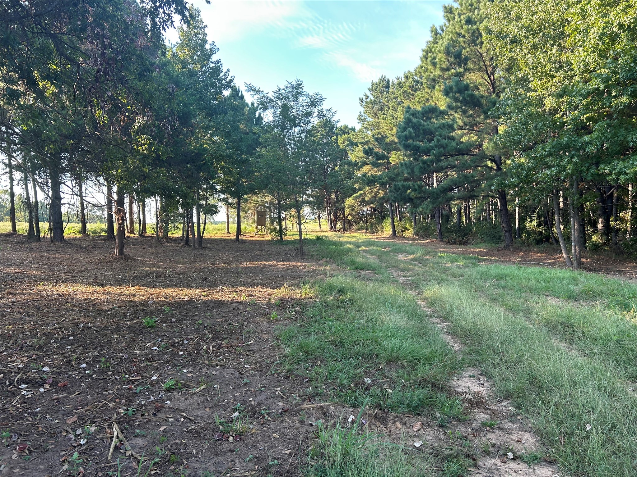 1 Highway 7 West Property Photo 4