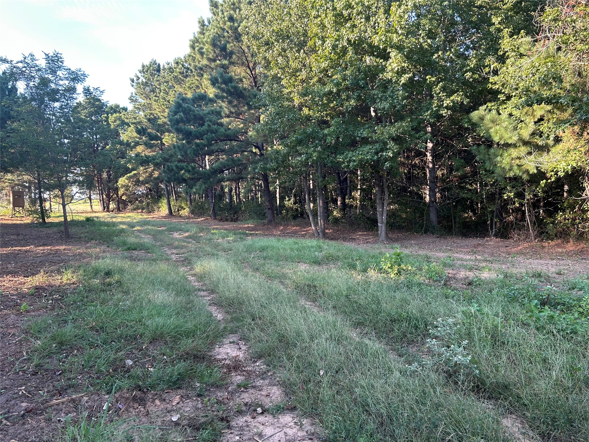 1 Highway 7 West Property Photo 5