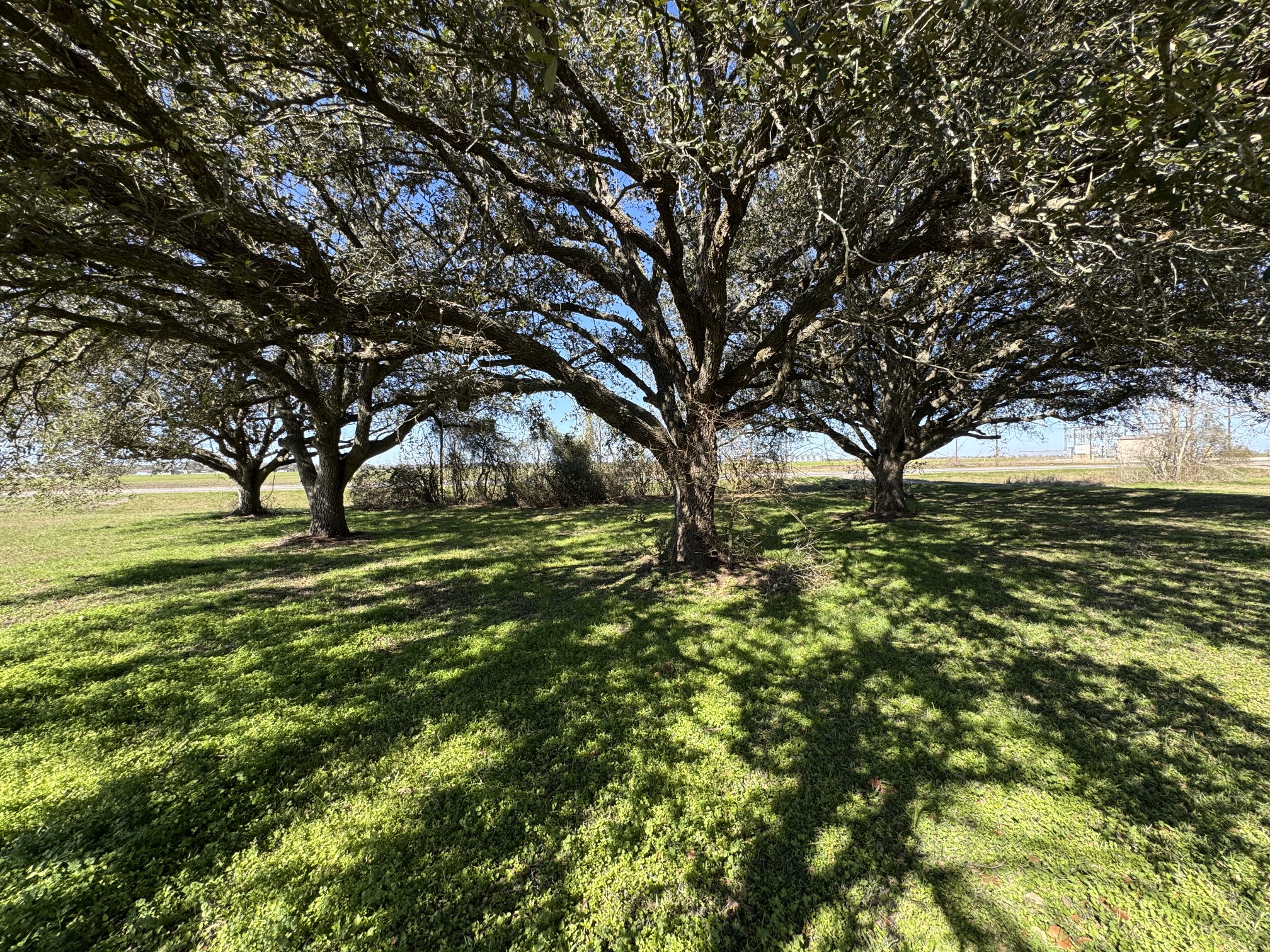 7181 Fm 1300 Road Property Photo 6