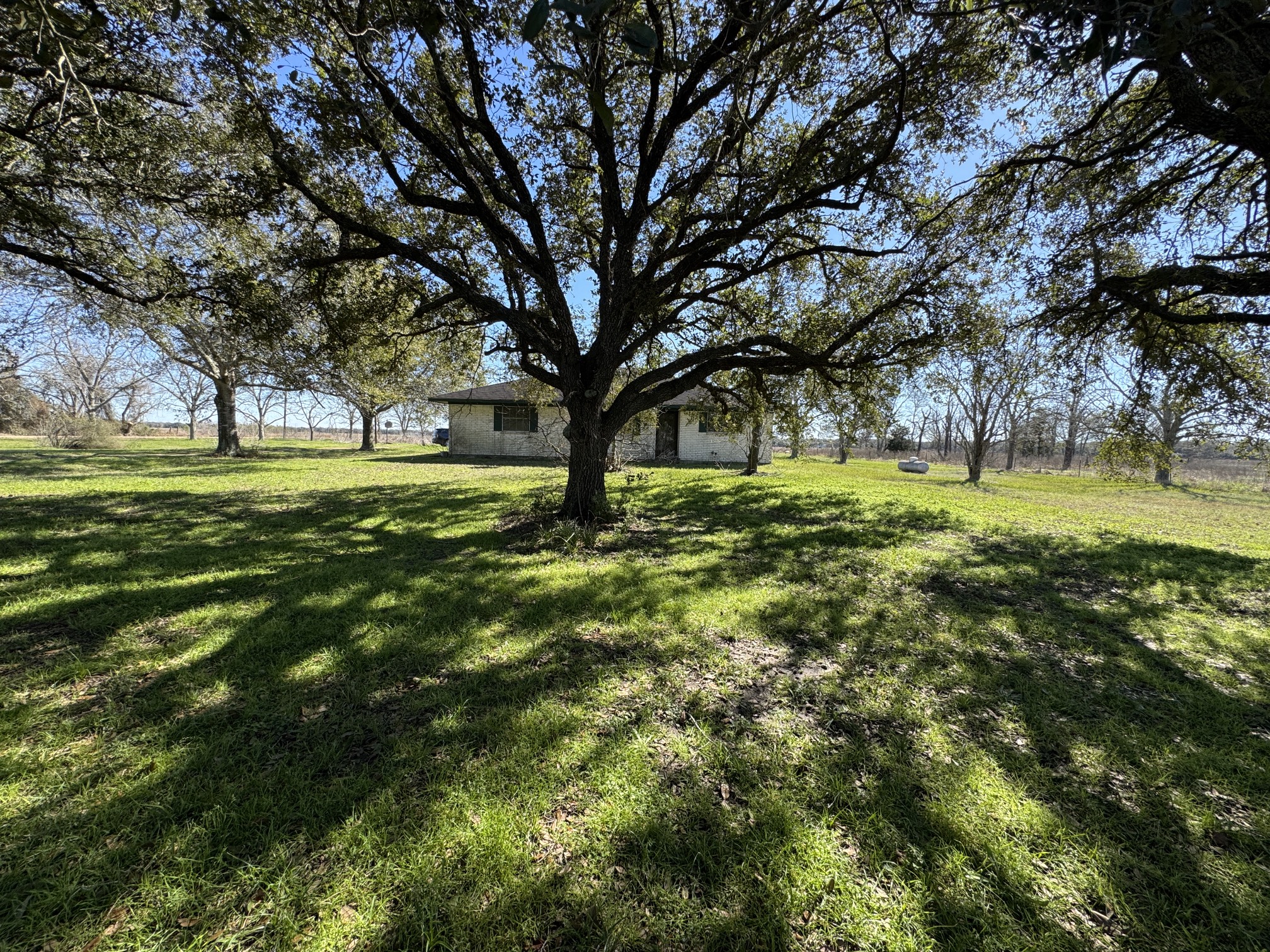 7181 Fm 1300 Road Property Photo 10