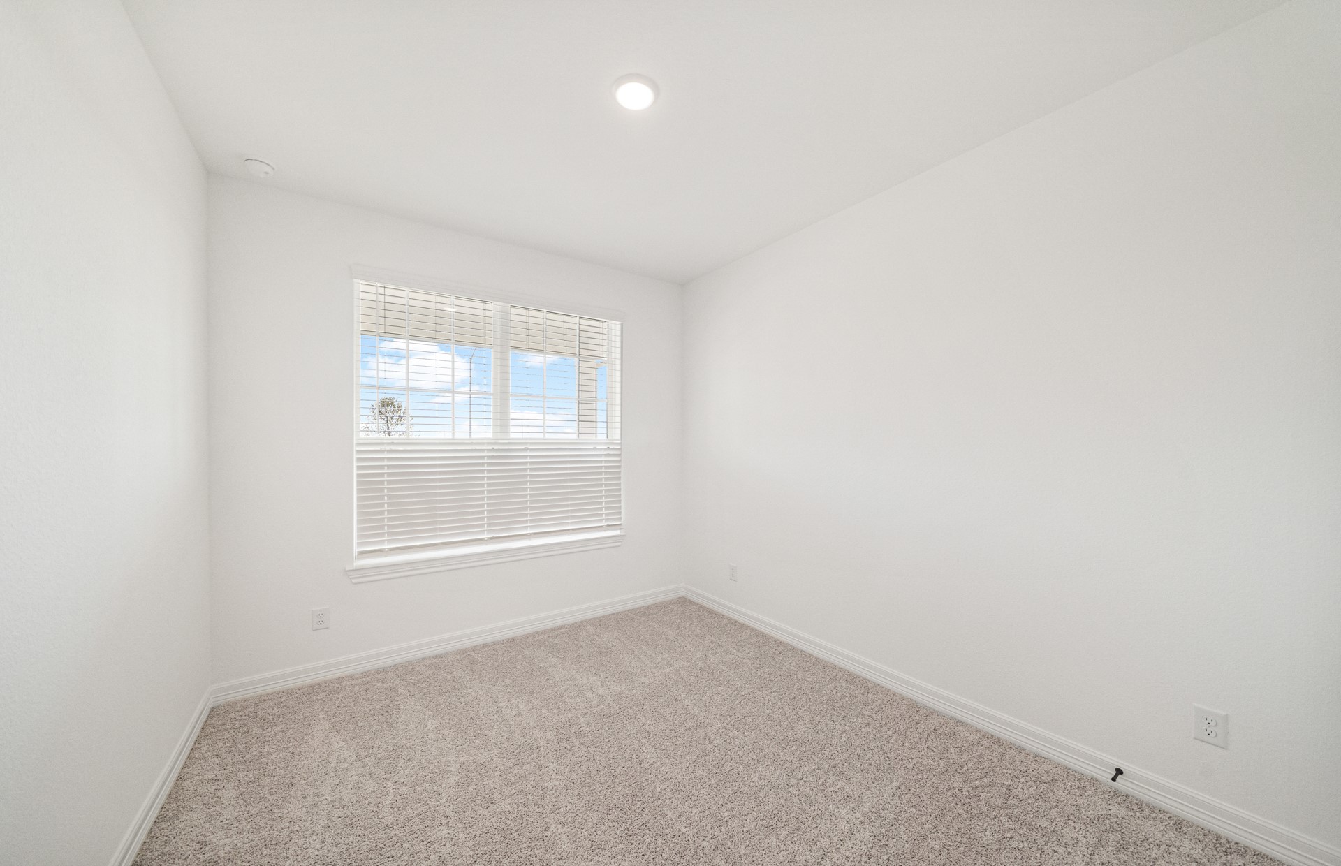 19111 Pink Grapefruit Street Property Photo 5
