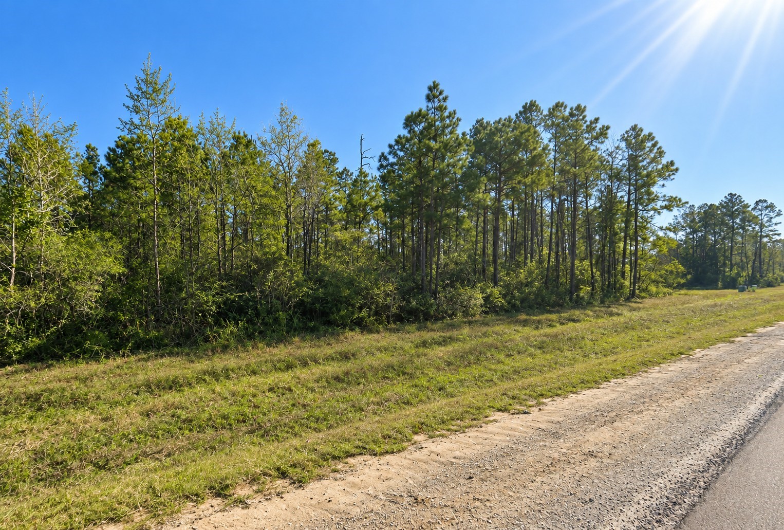 11631 Grand North Road Property Photo 3