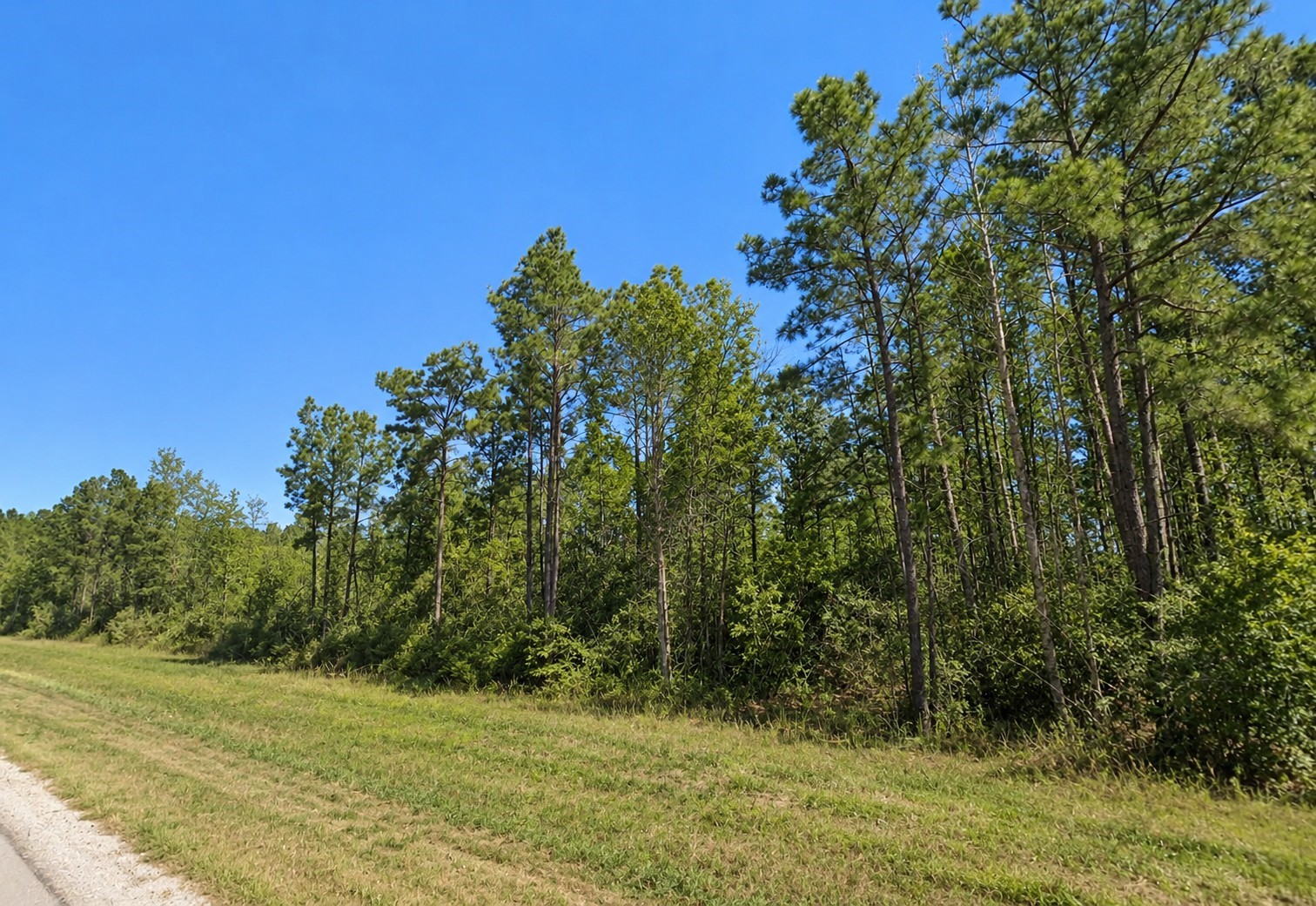 11631 Grand North Road Property Photo 4