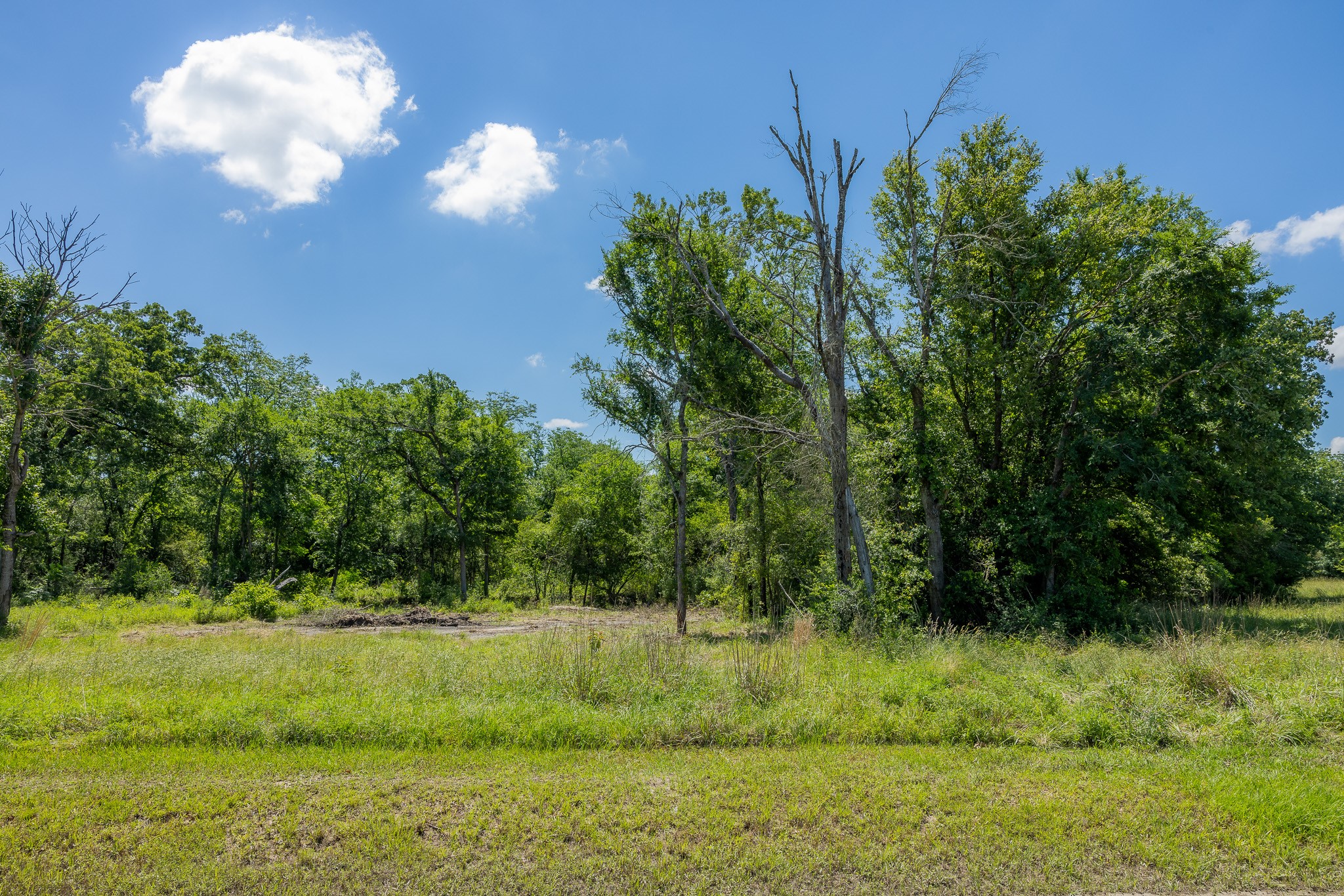 10649 Atakapan Trail Property Photo 1