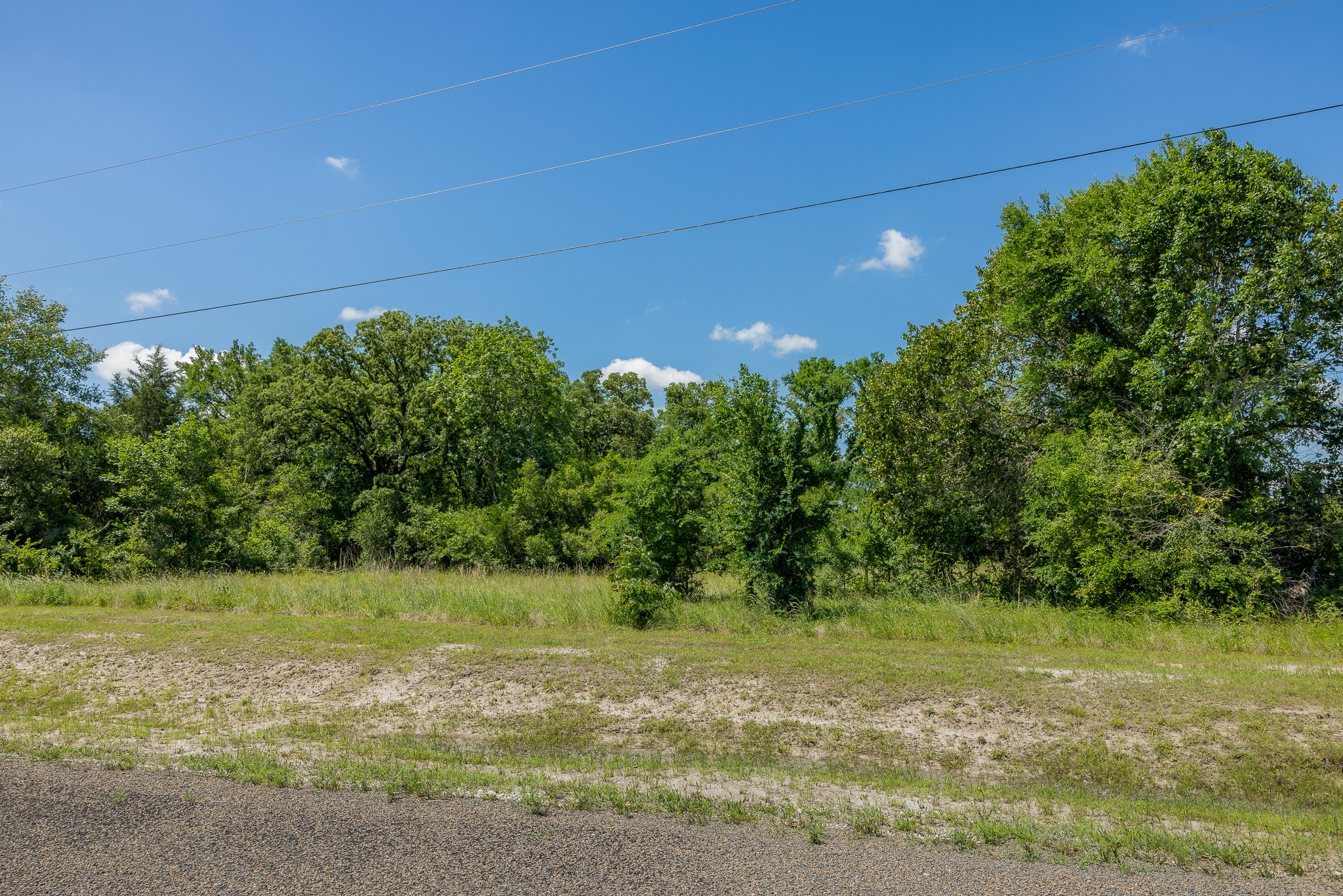 10649 Atakapan Trail Property Photo 2