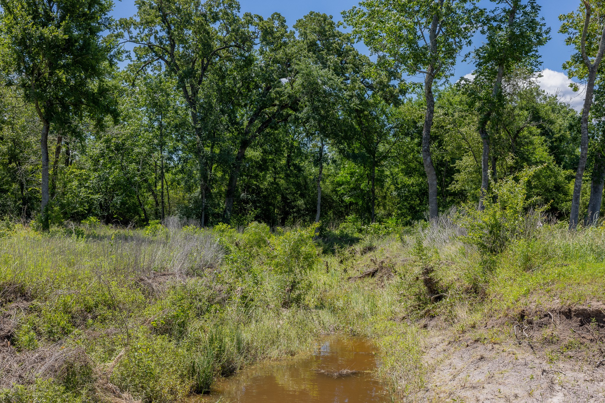 10649 Atakapan Trail Property Photo 7