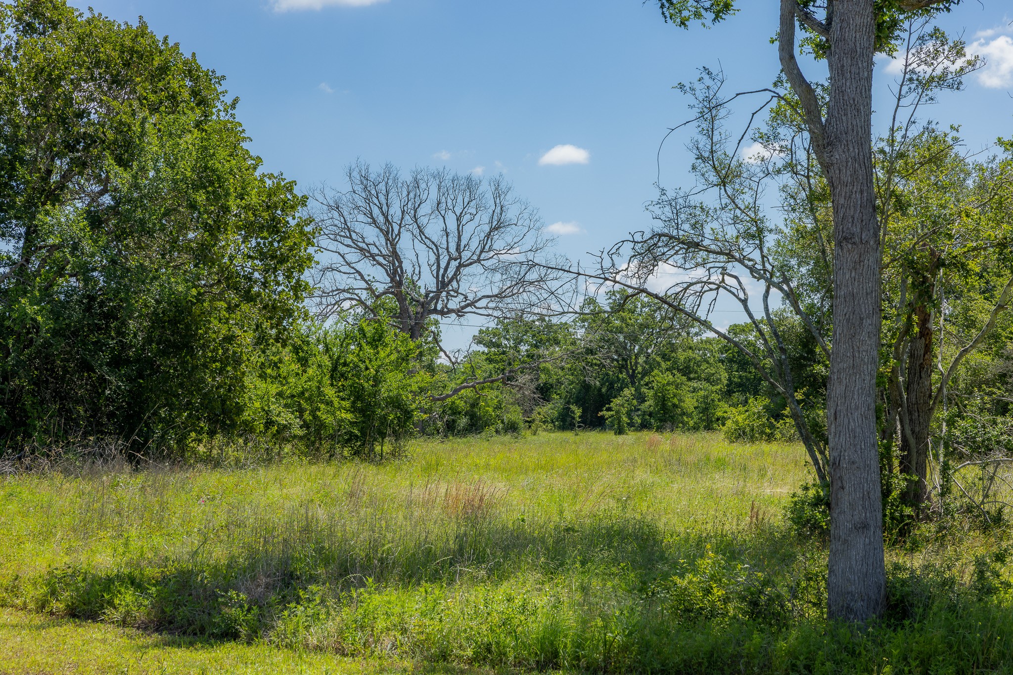 10649 Atakapan Trail Property Photo 8